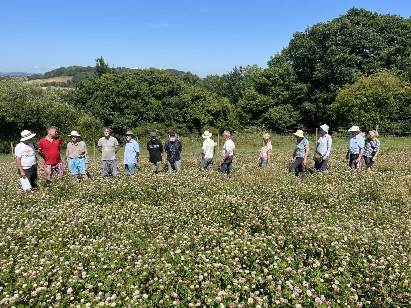 Dorset Climate Action Network: Community-Led Change
