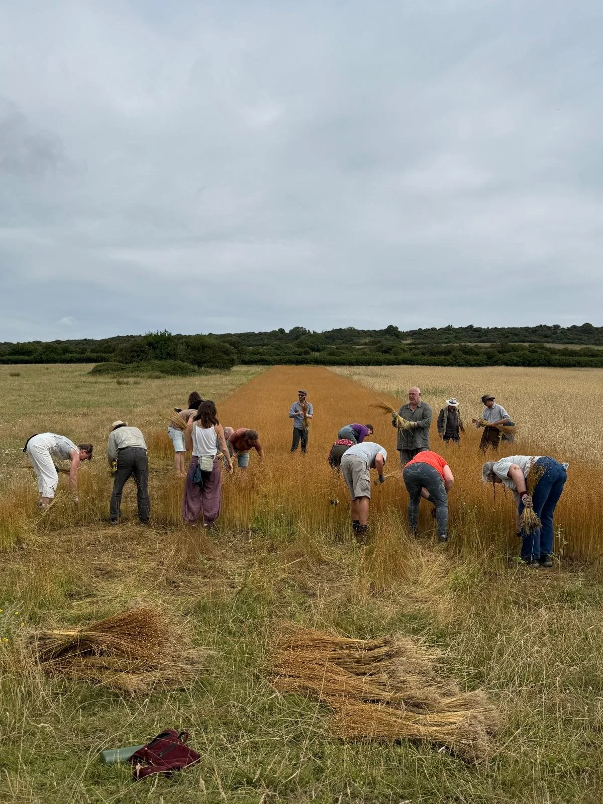 Flax Forward: Reconnecting Bridport to Its Fibre Heritage