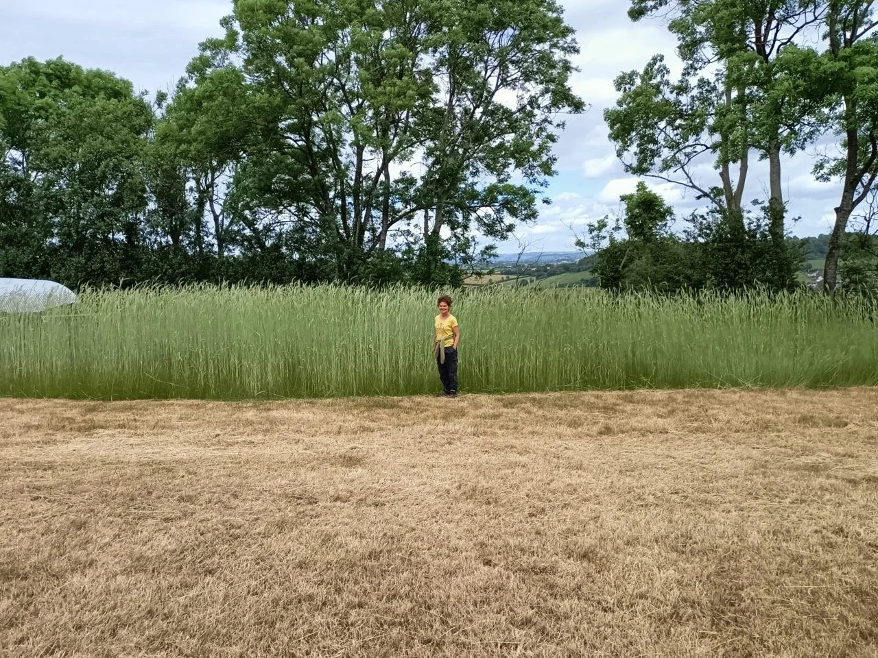 St John’s Rye - Update!
