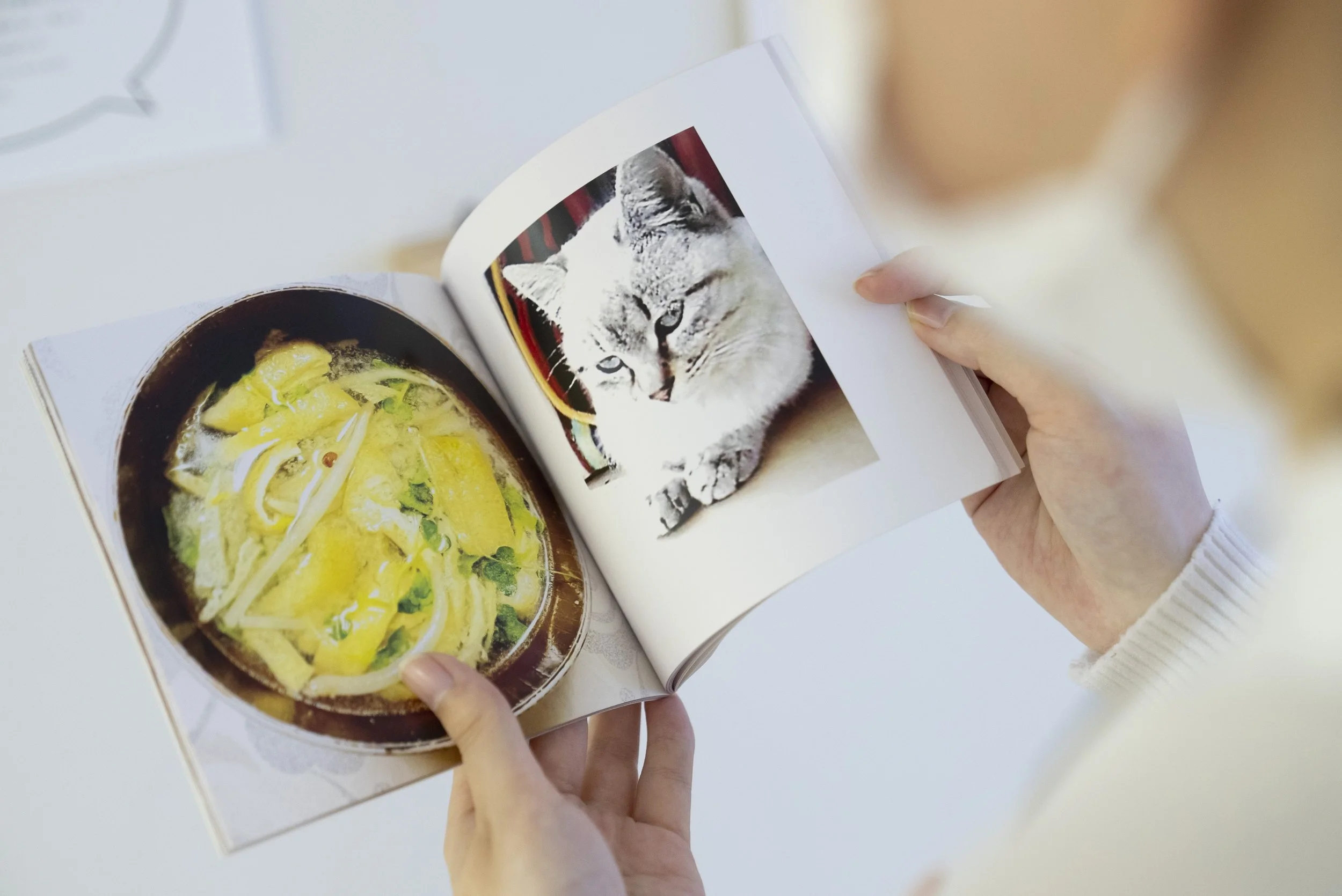 雑誌のページをめくる人の手。左側のページに料理の写真、右側に猫の写真がある。