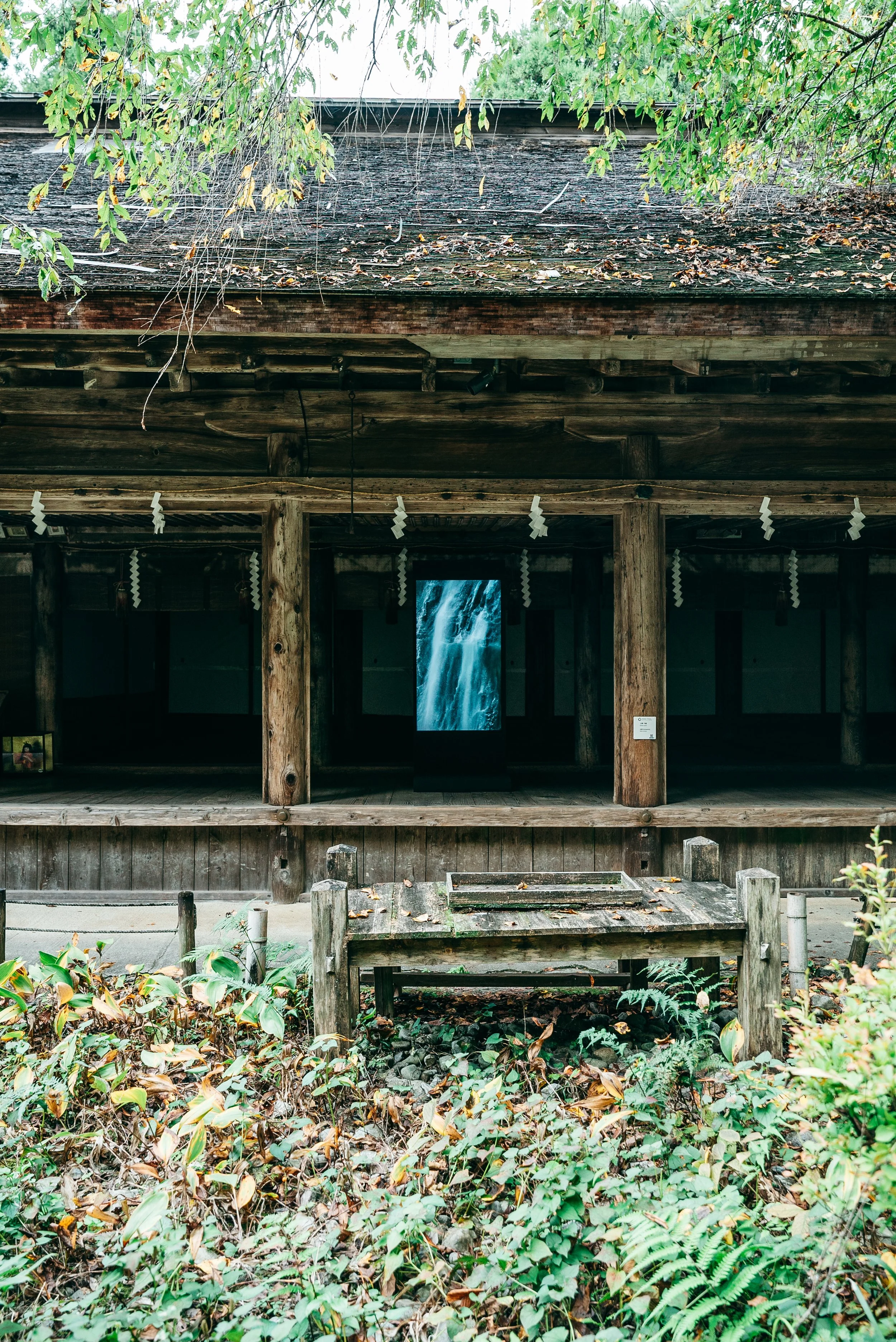 mindtrail_yoshino-112.jpg