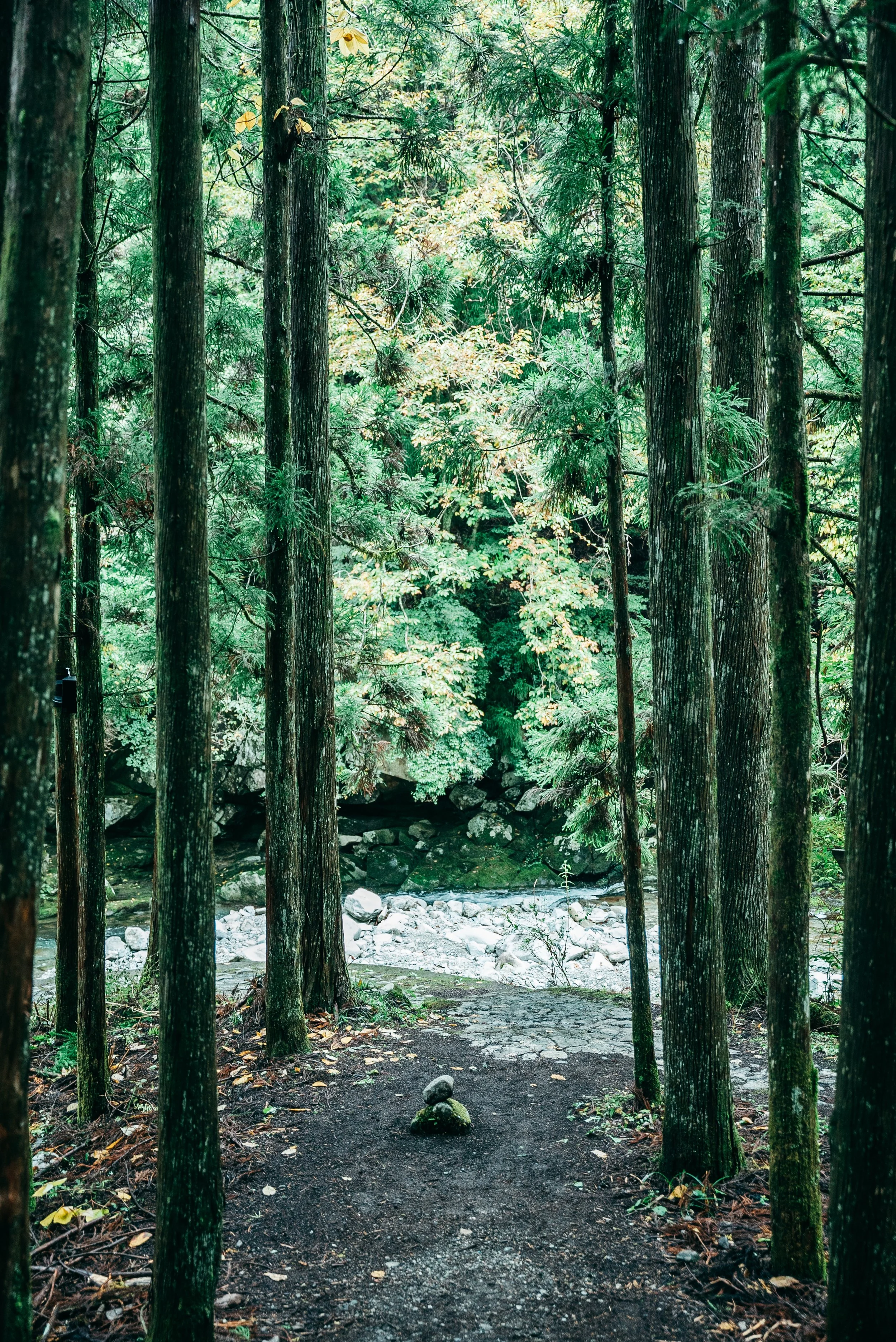 mindtrail_tenkawa-16.jpg