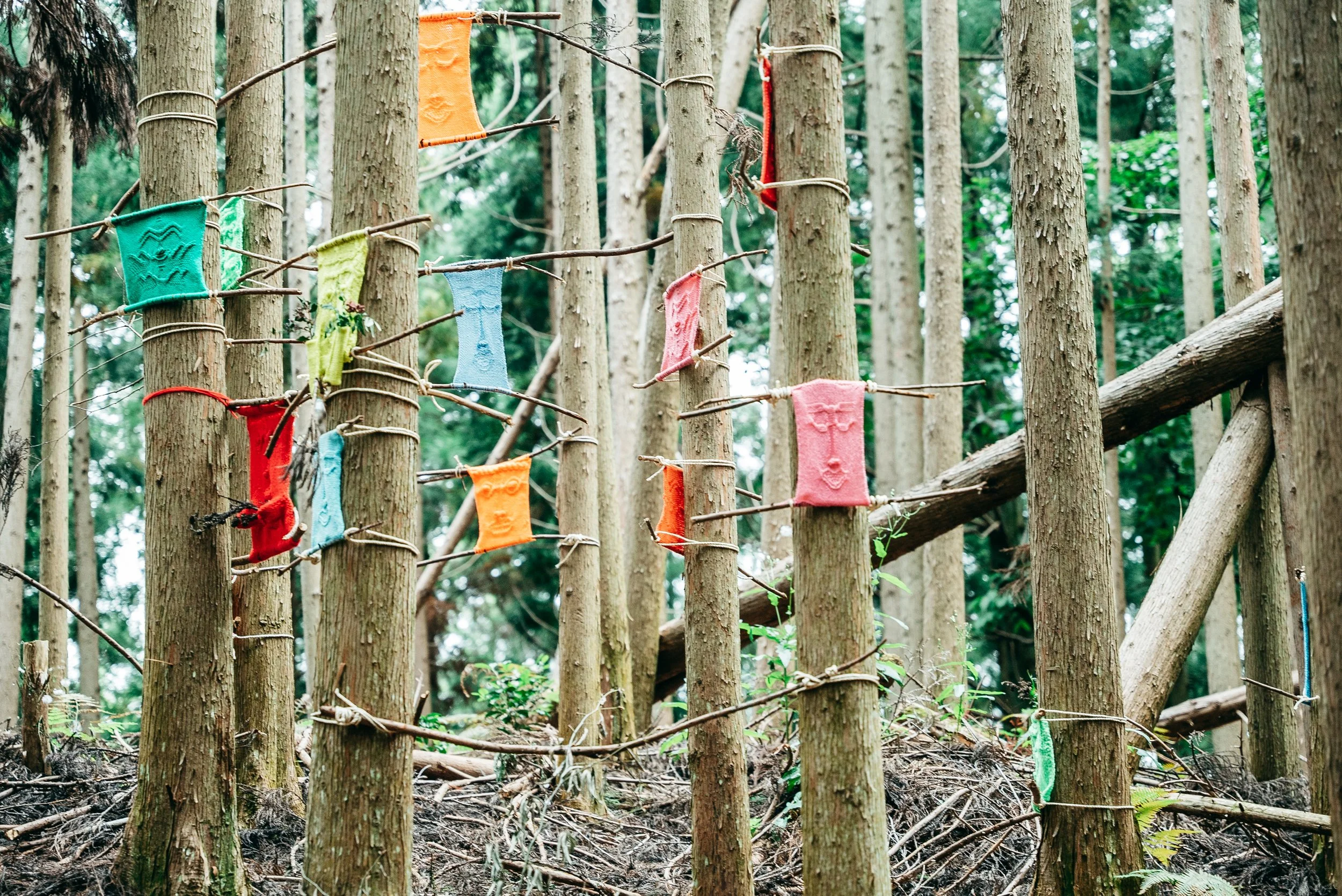 mindtrail_yoshino-129.jpg
