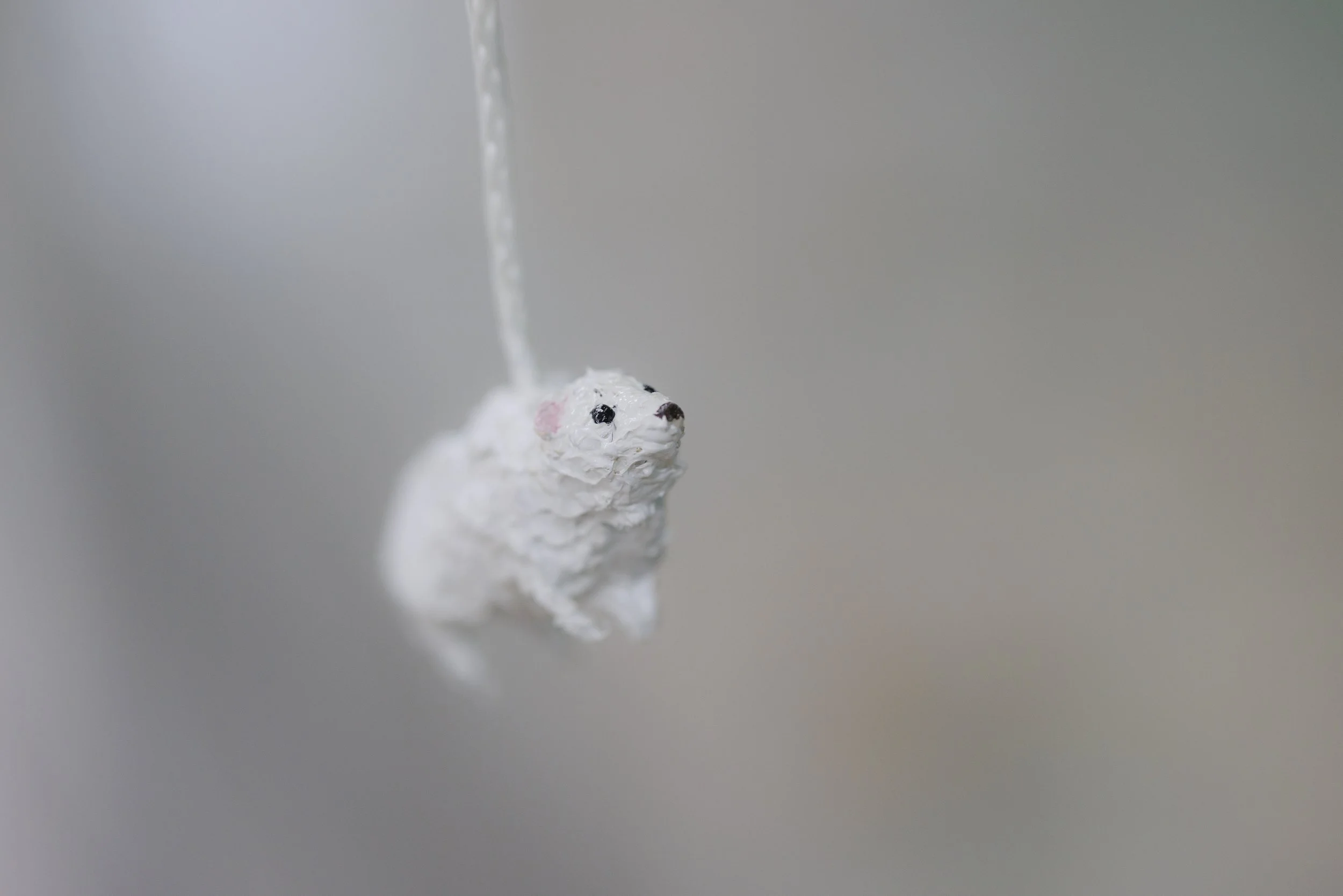 250315_animal028.jpg