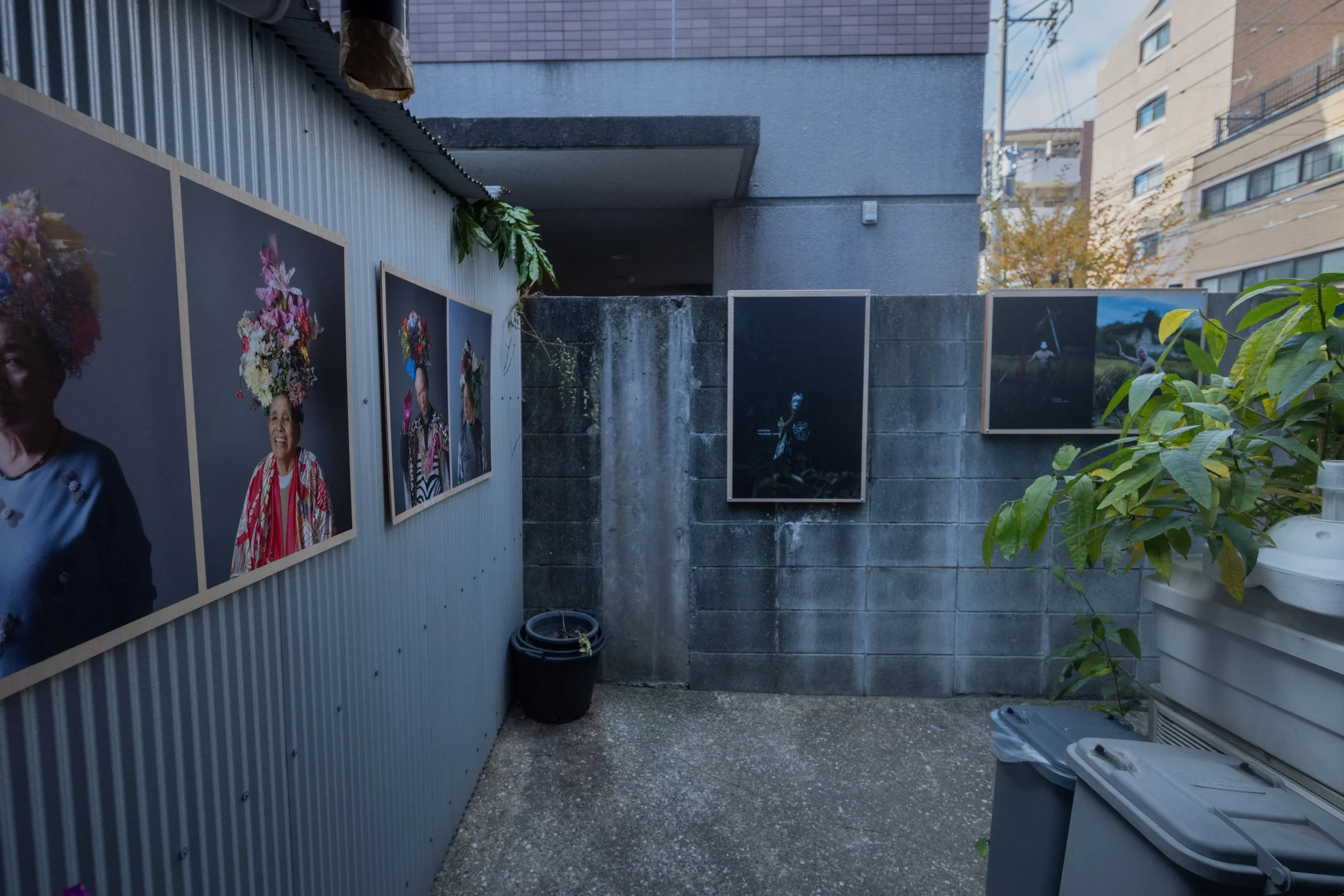 DSCF1504.jpg