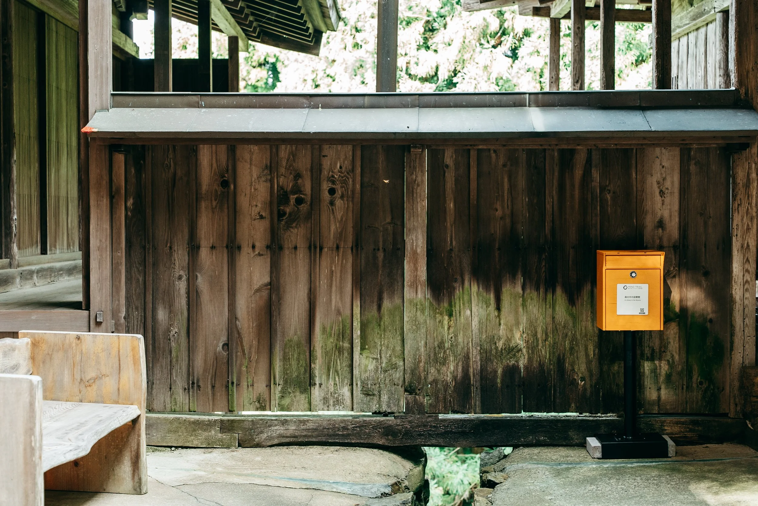mindtrail_yoshino-164.jpg