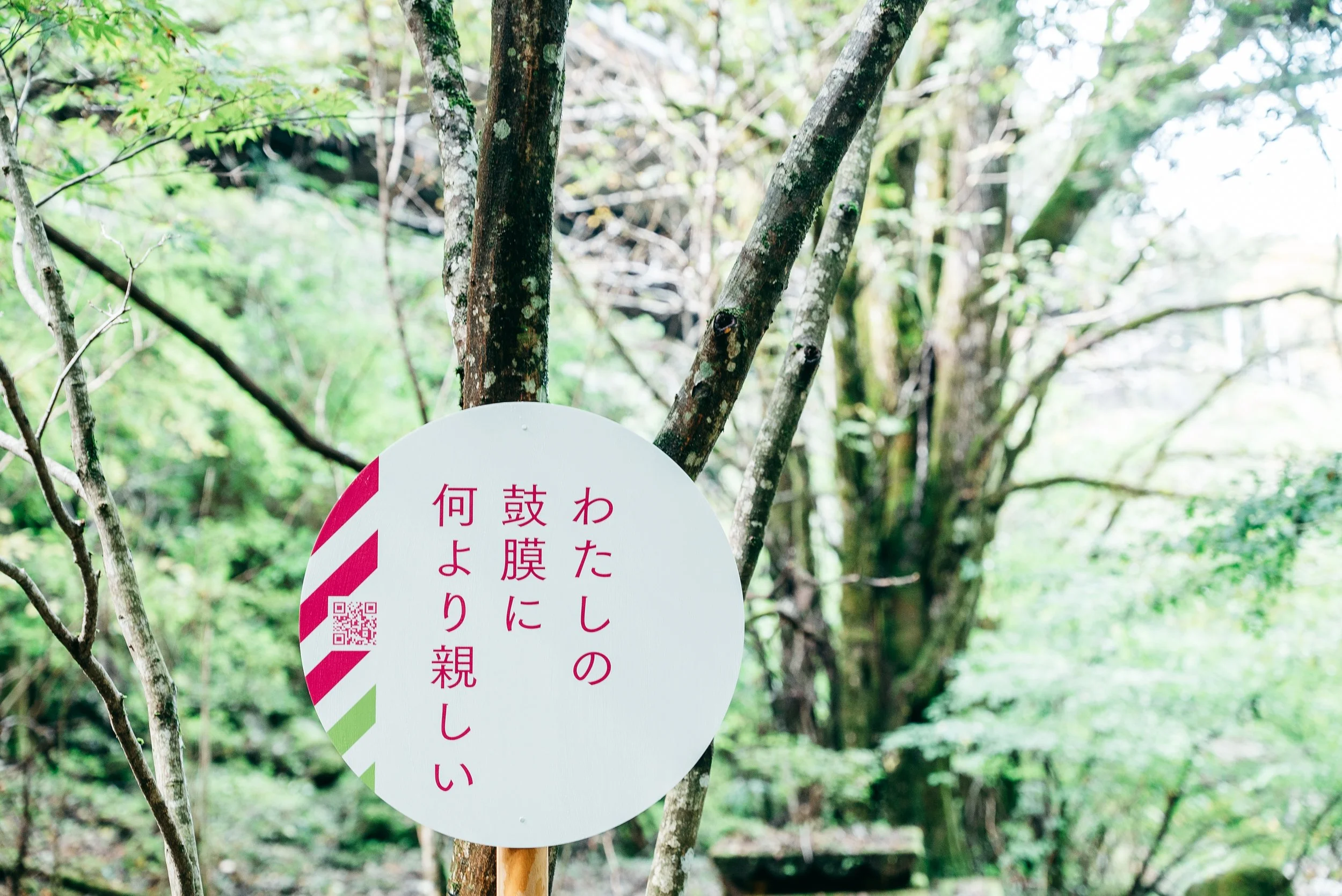mindtrail_tenkawa-74.jpg