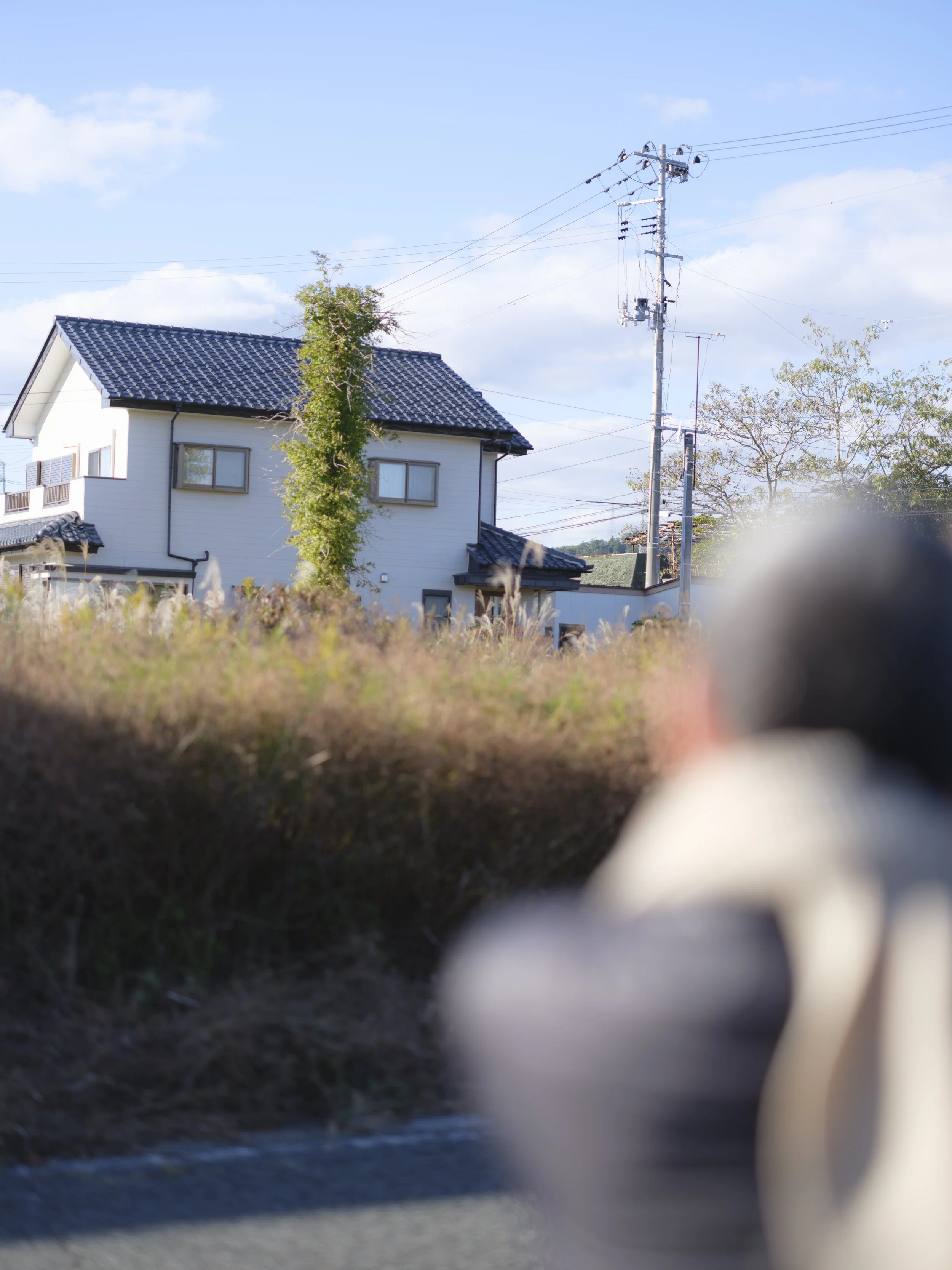 241108_031.jpeg