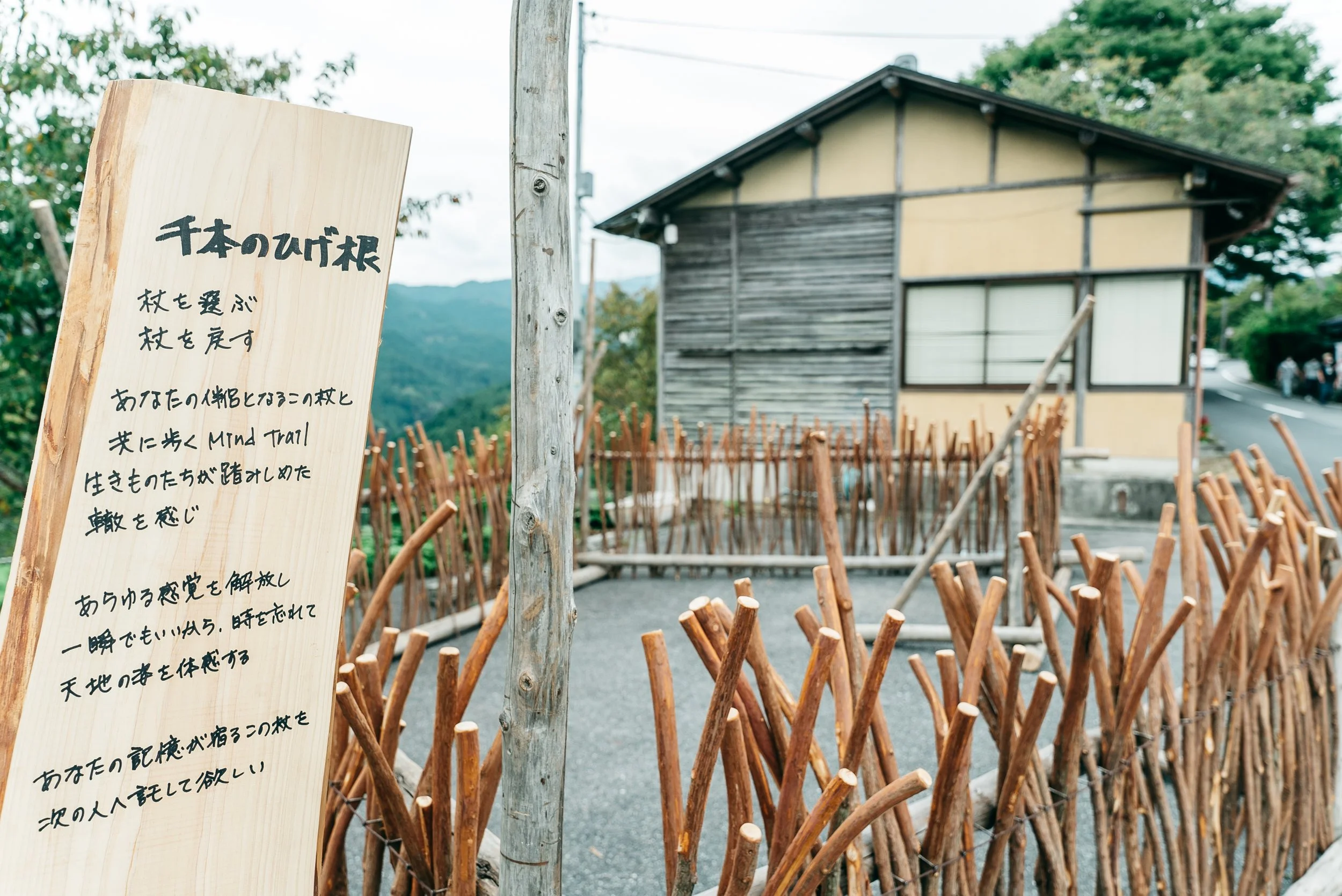 mindtrail_yoshino-48.jpg