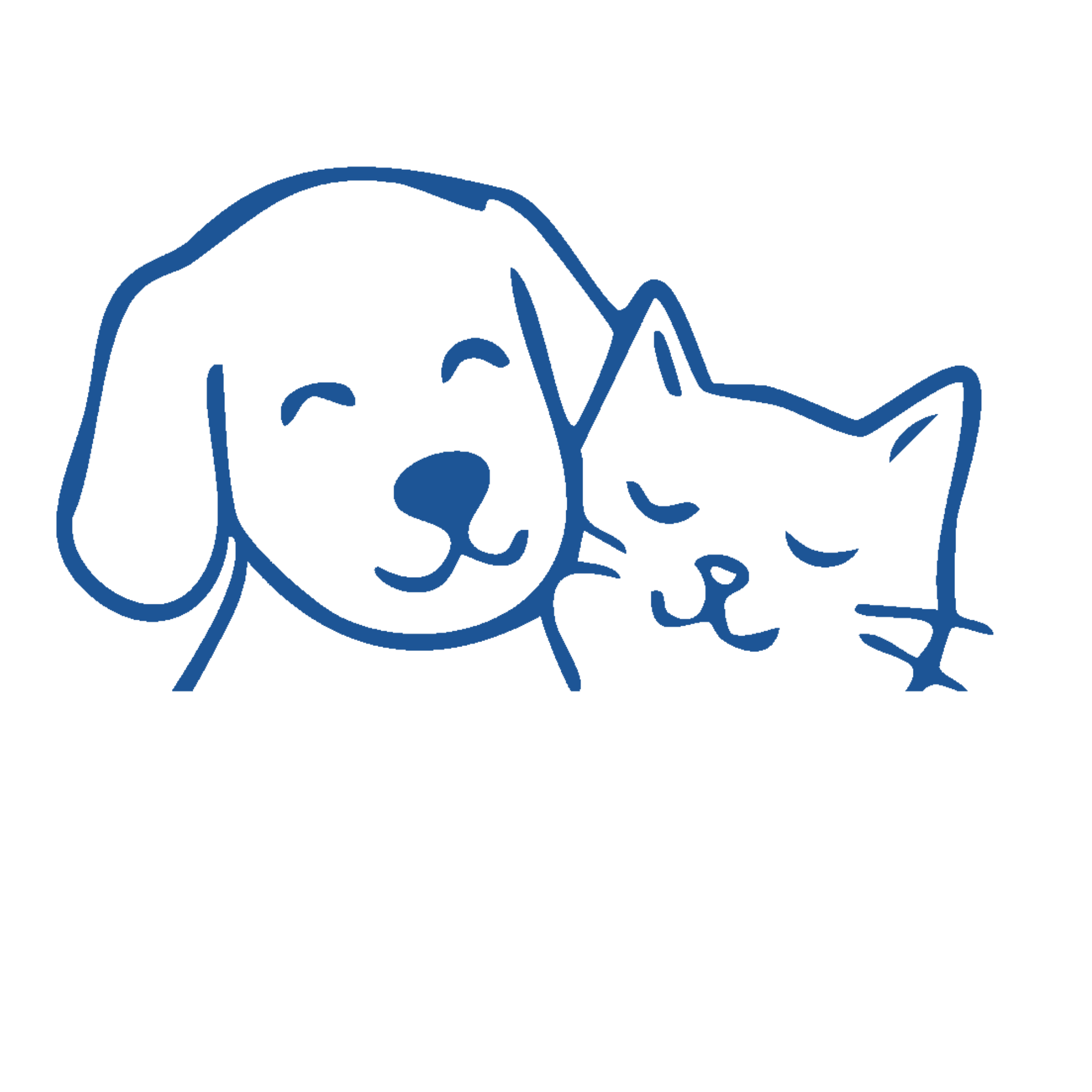 PetPortraits.gg