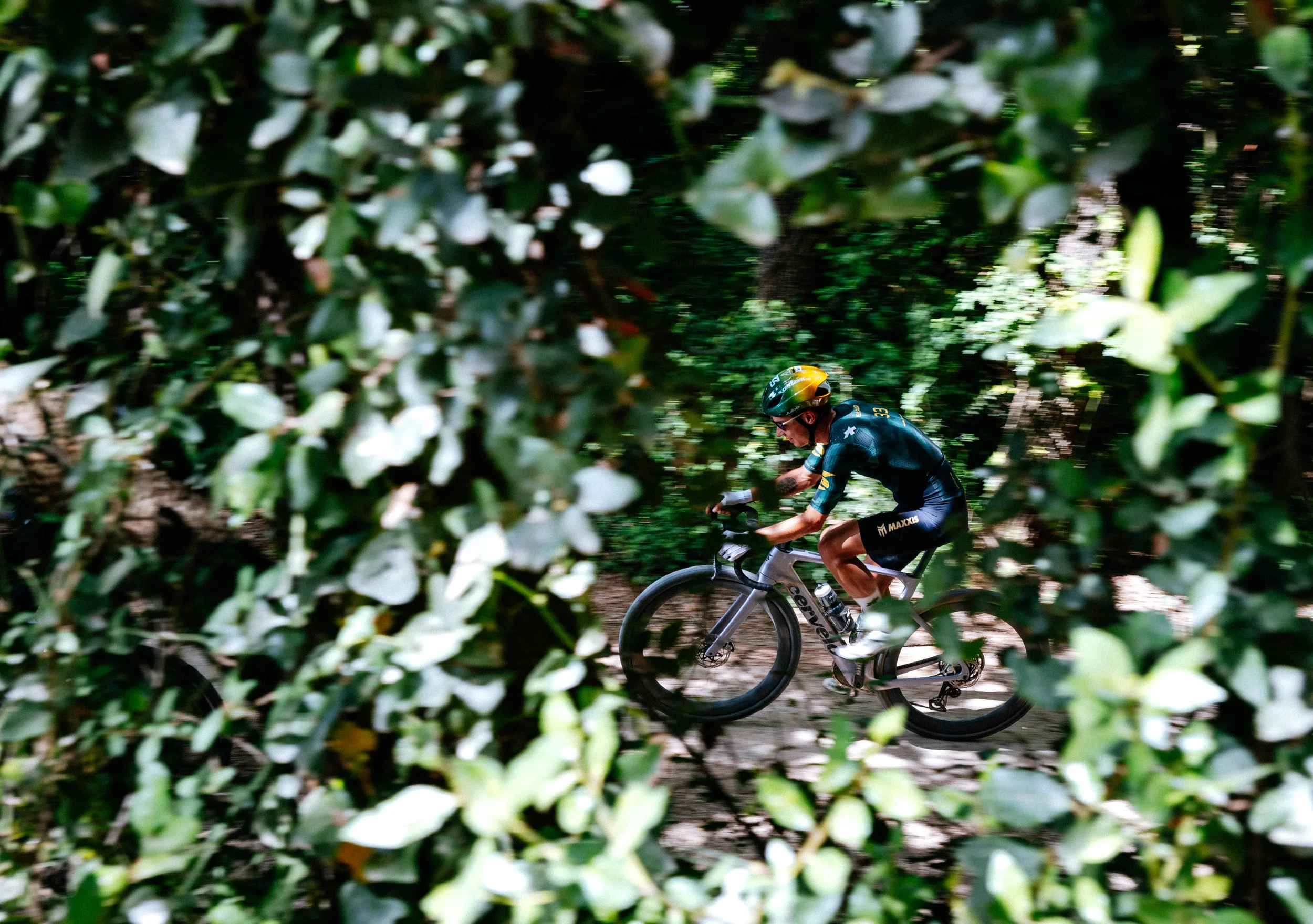 A cyclist riding through a forest trail surrounded by dense green foliage.