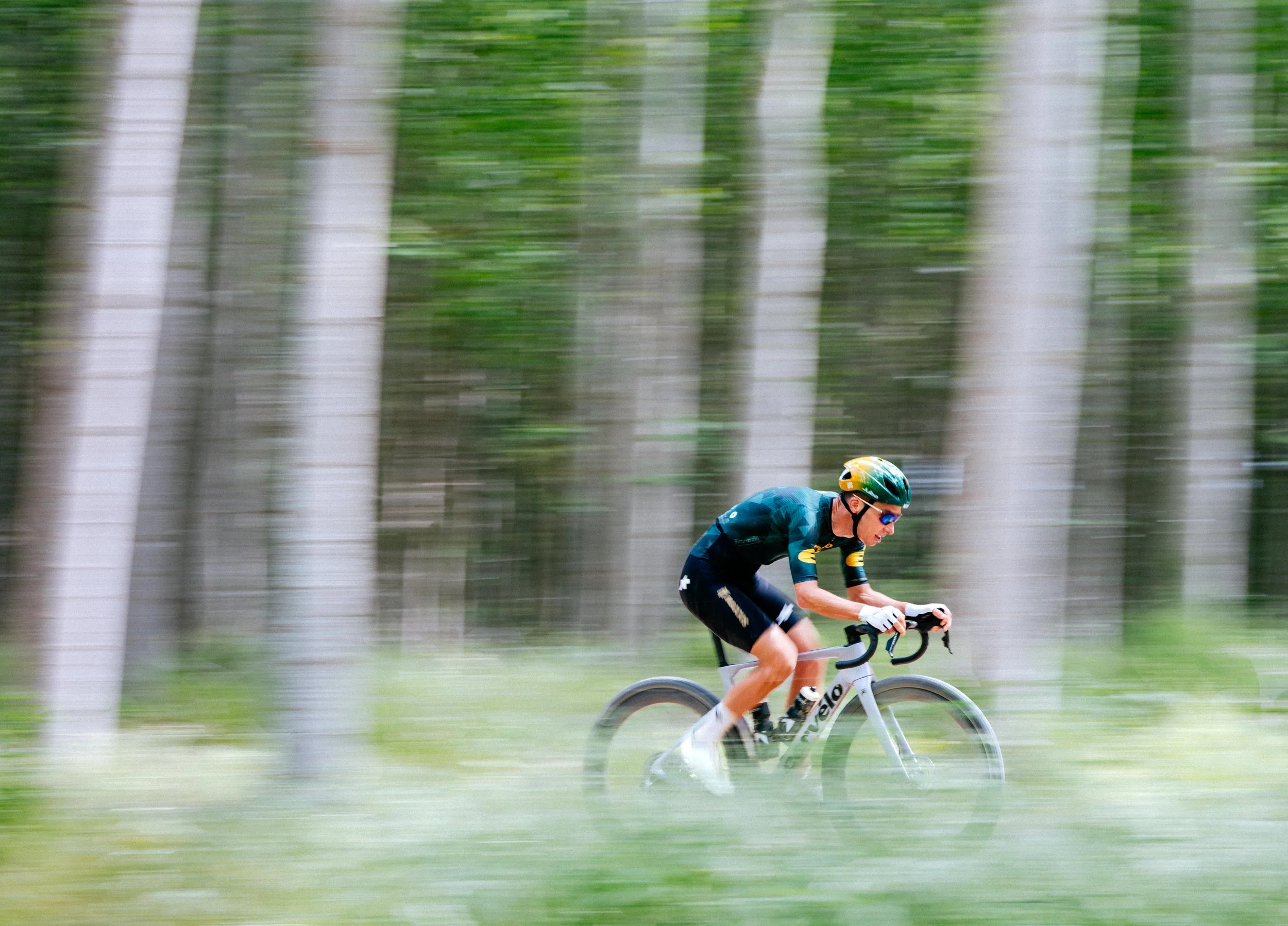 A cyclist in a yellow helmet and blue sportswear riding a bicycle through a wooded area with tall trees.