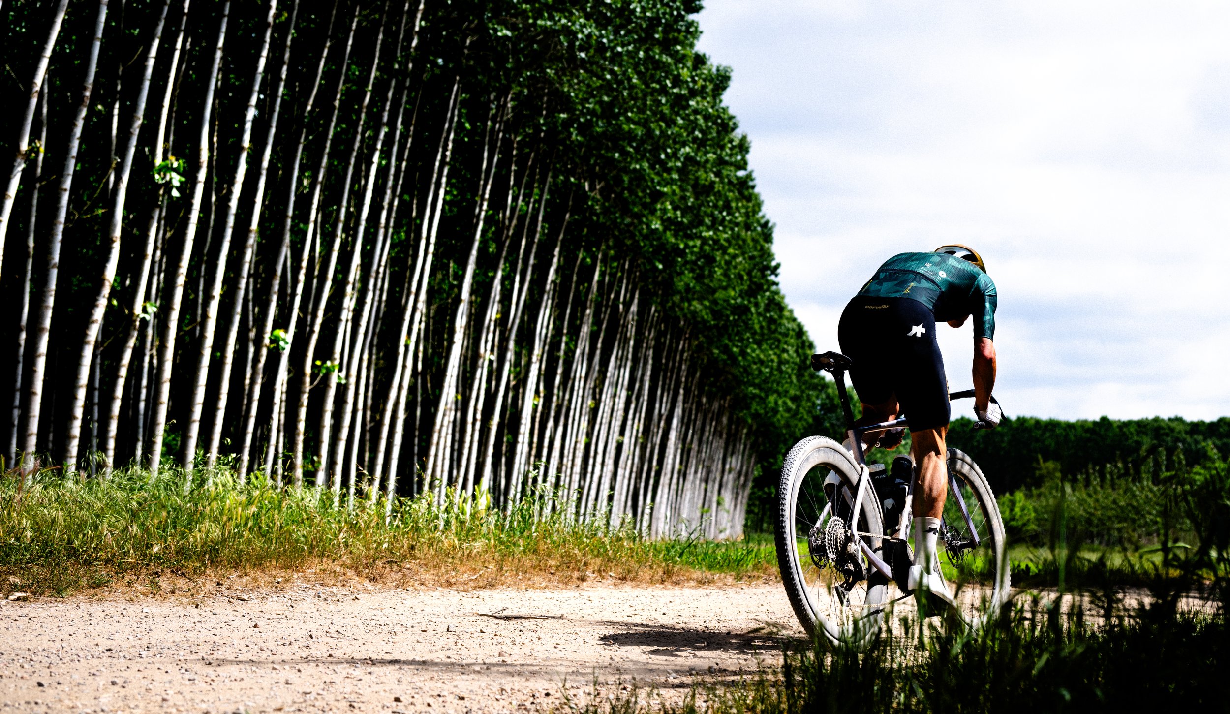 A person riding a mountain bike along a dirt trail next to a tall row of trees under a cloudy sky.