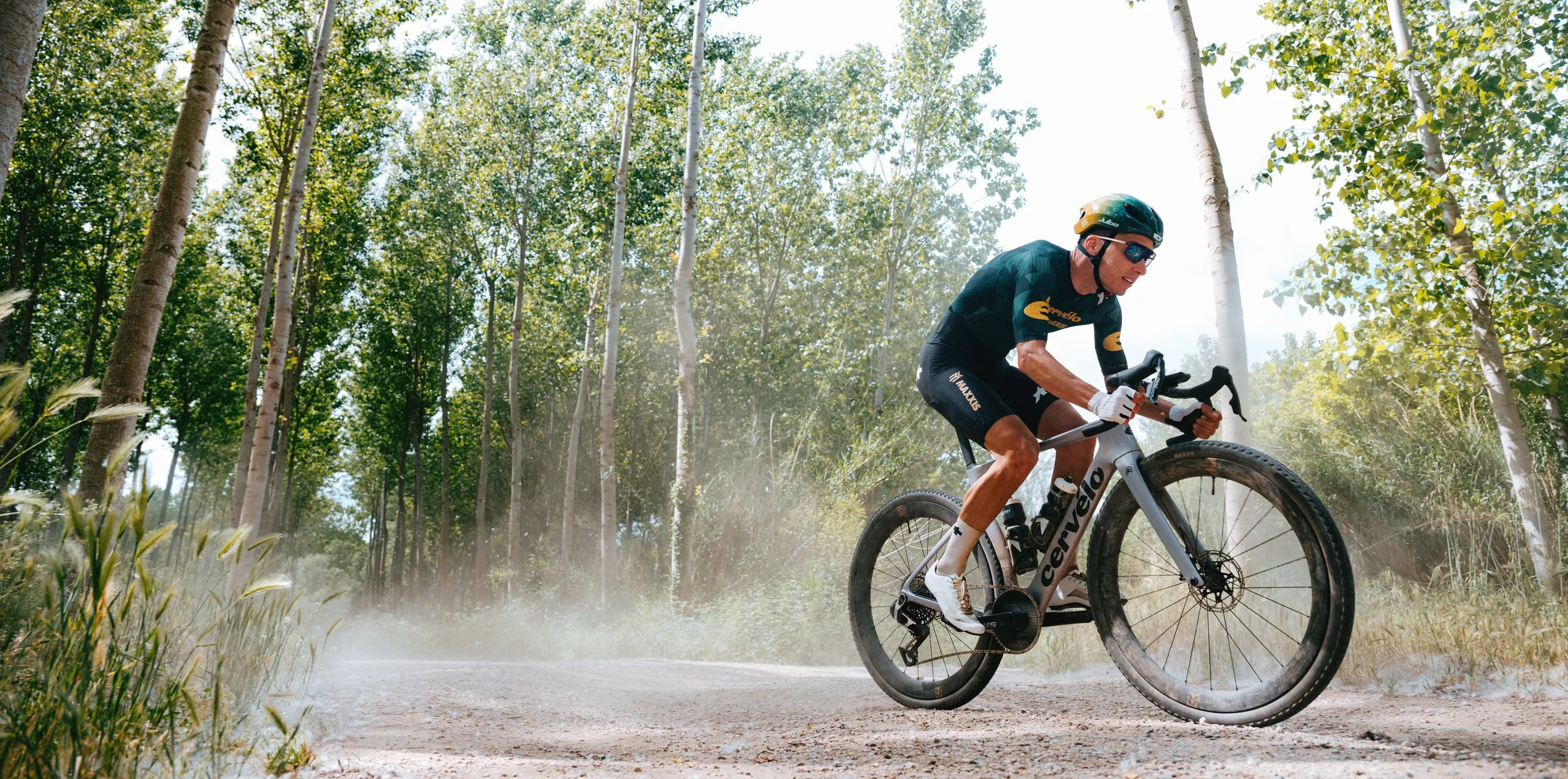 A male cyclist wearing a black helmet, sunglasses, and cycling gear riding a mountain bike on a dirt trail through a forest of tall, thin trees.
