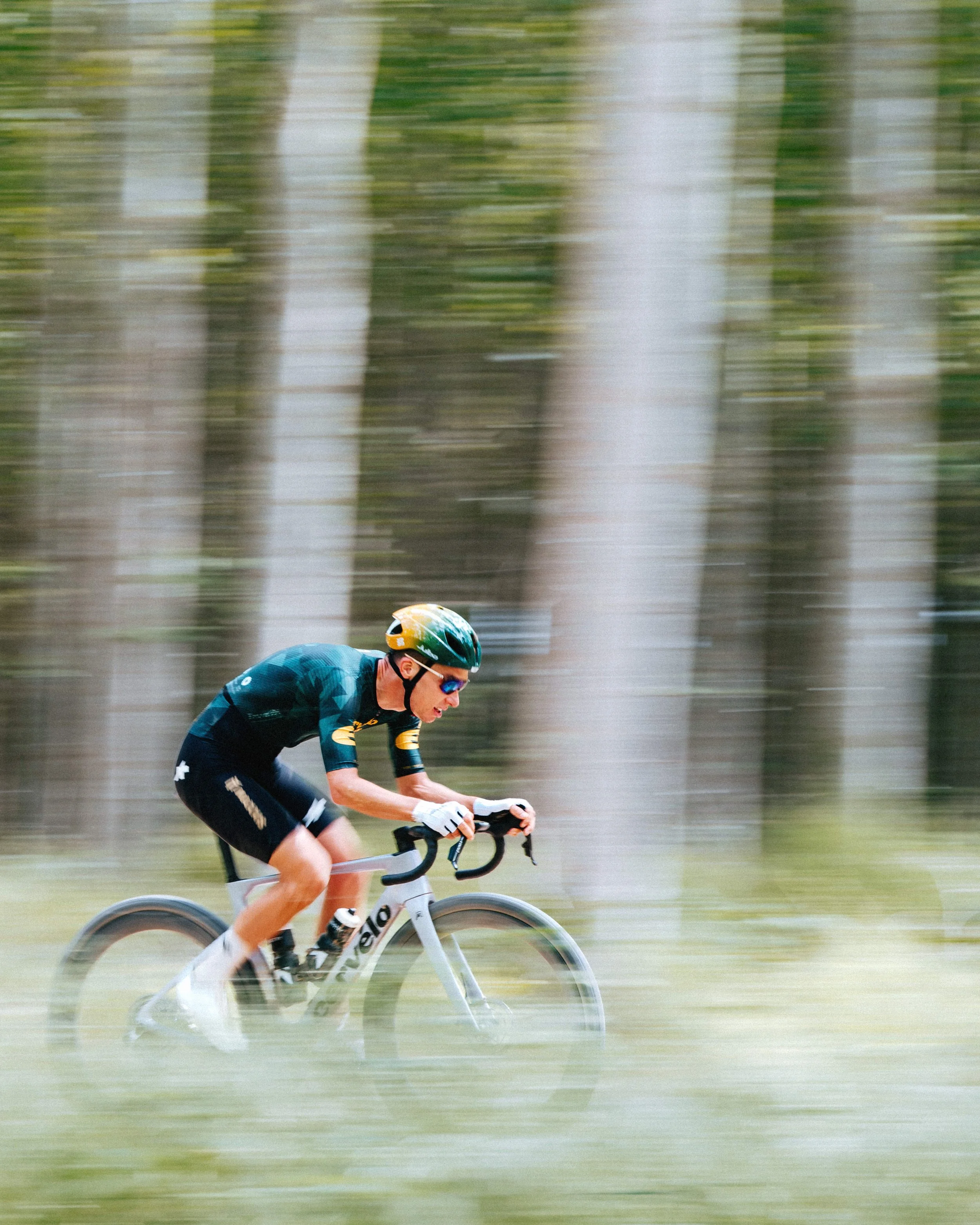 A cyclist wearing a helmet and sunglasses riding a bicycle through a forest with tall trees and blurred background.