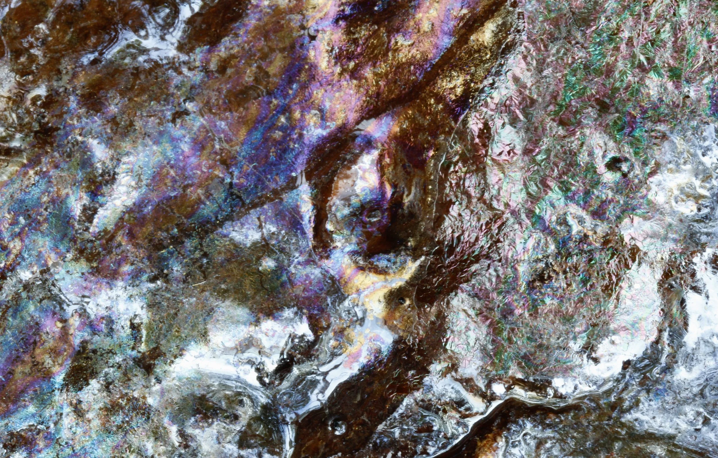 IRIDESCENCE COLLECTION