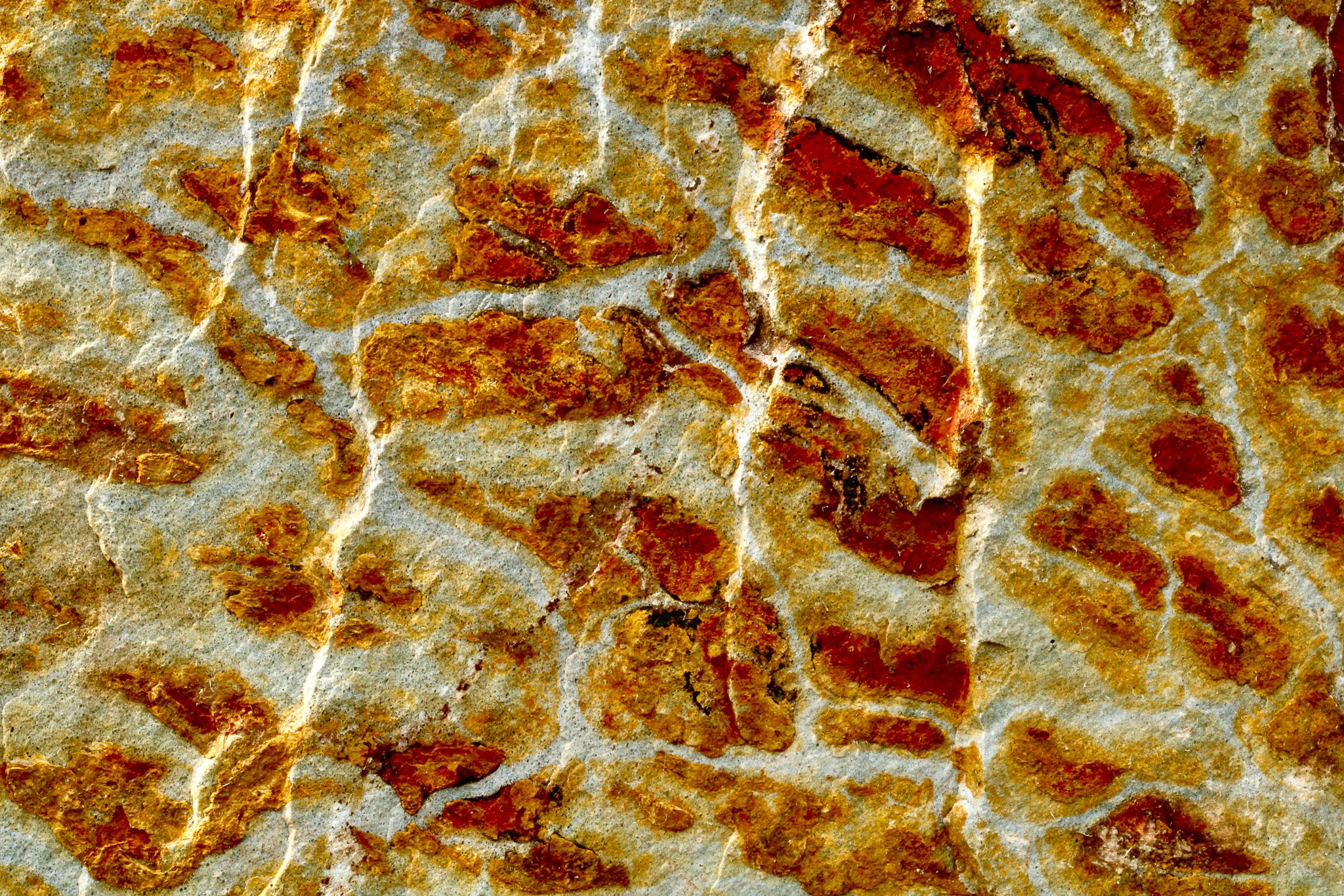 Earth Ripples