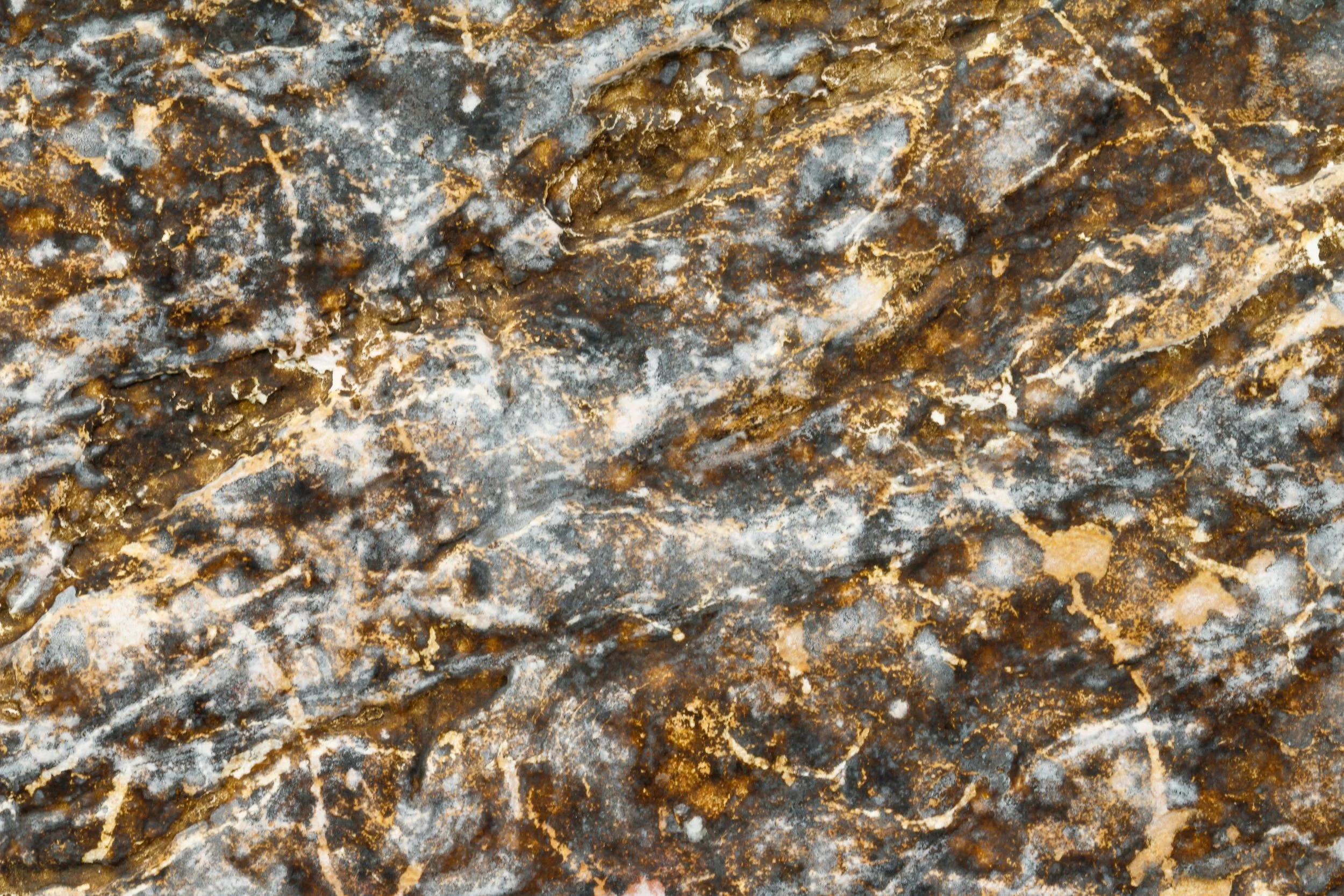 NATURAL ABSTRACT COLLECTION