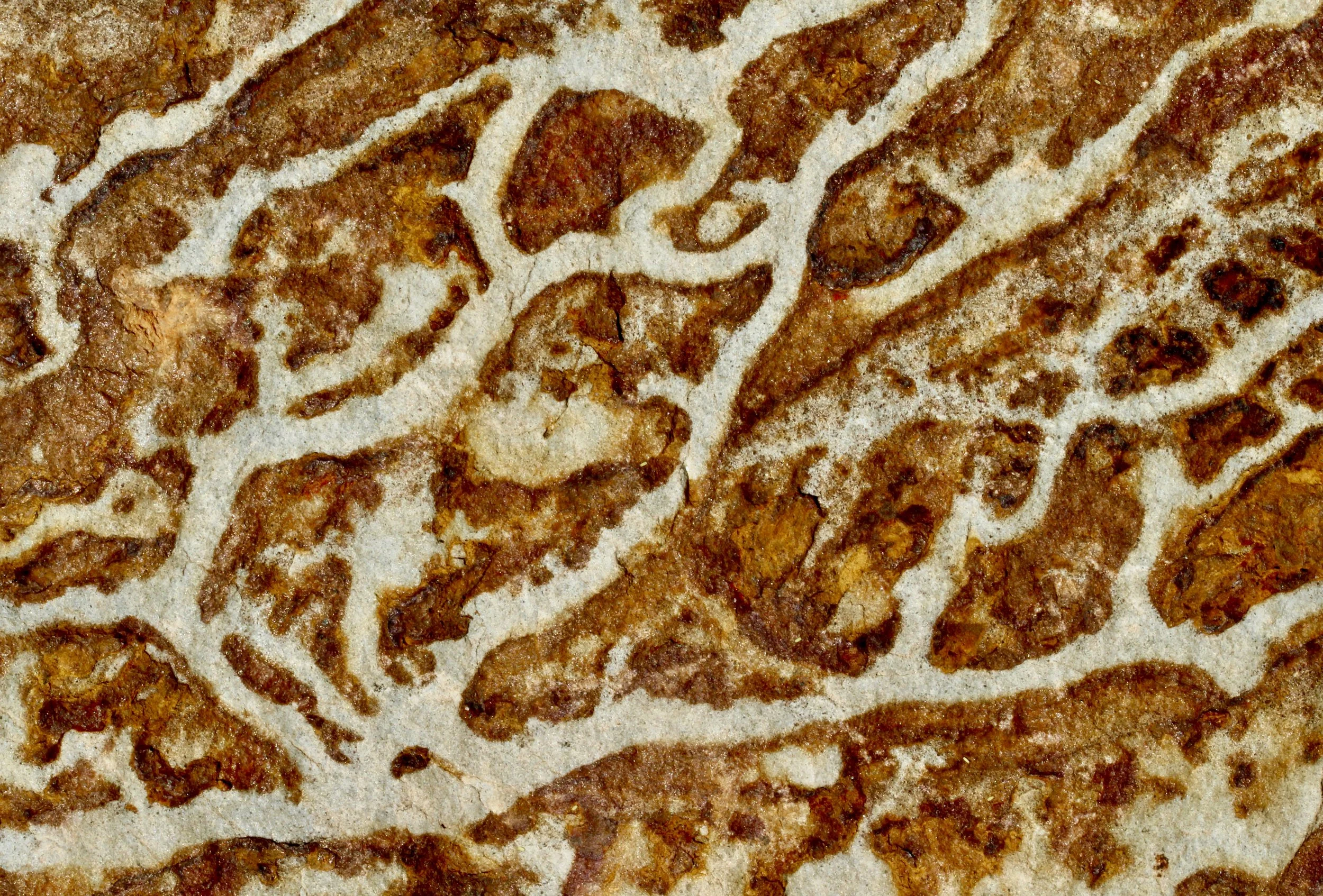 EARTH VEINS COLLECTION
