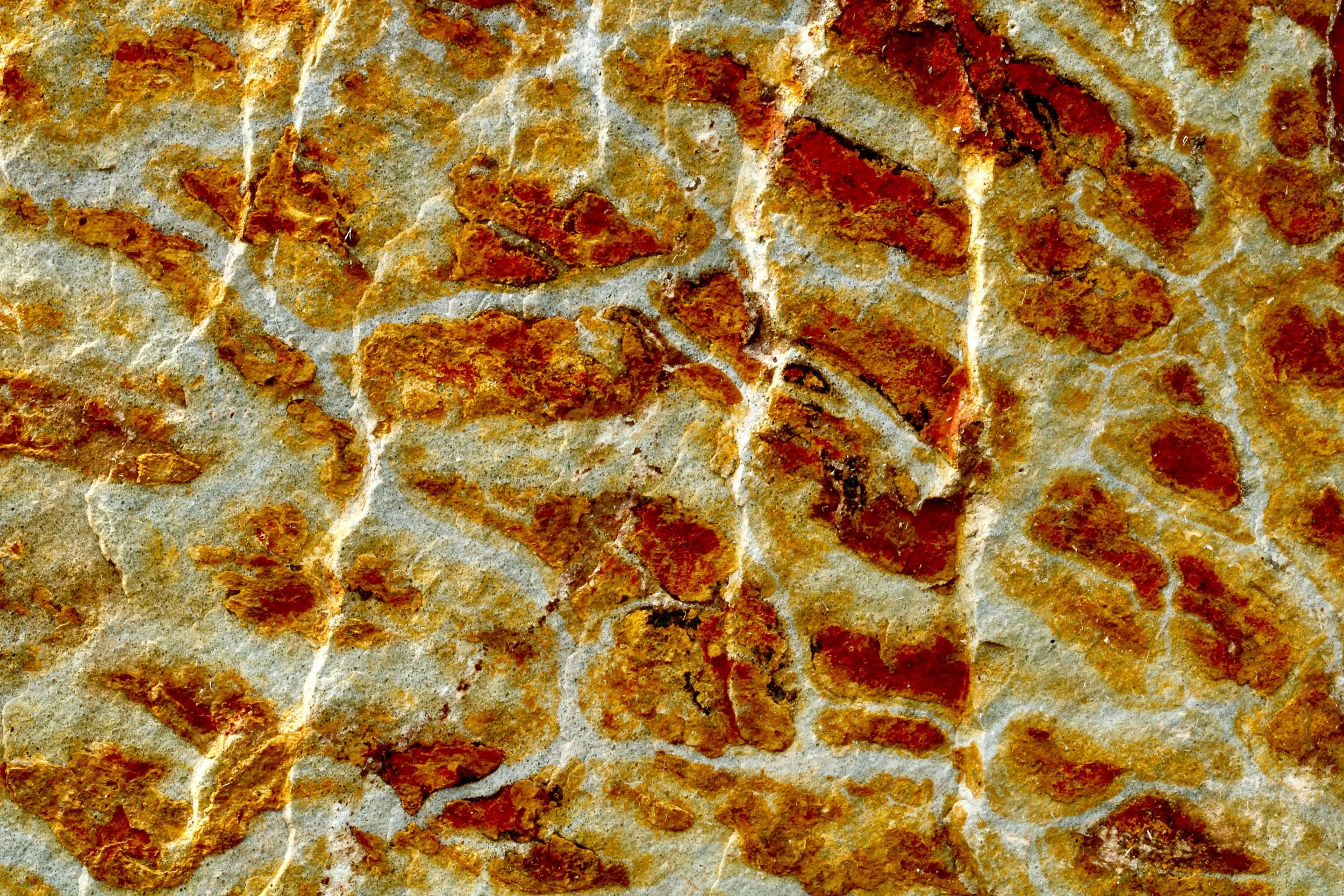 Earth Ripples