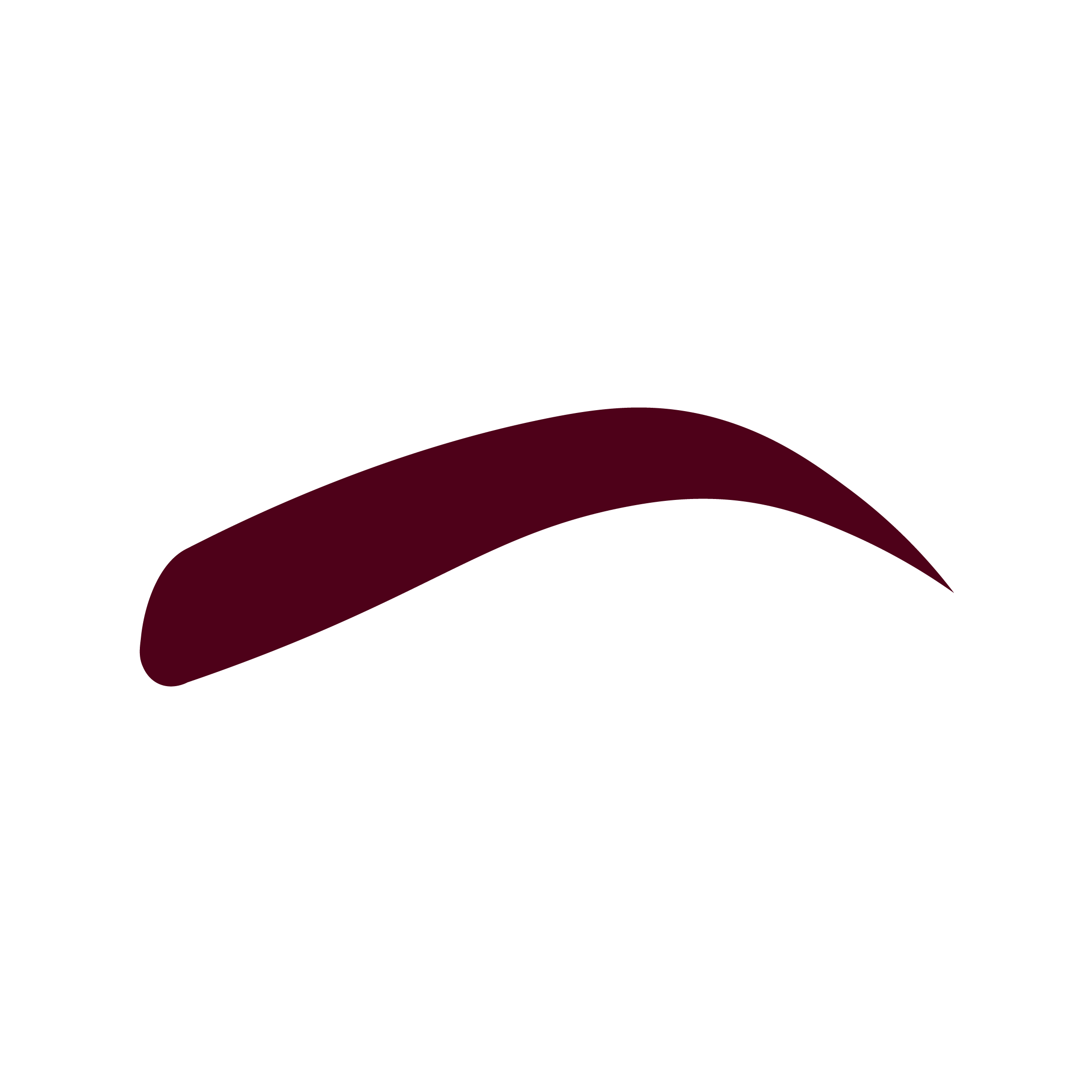 Augenbrauen Permanent Makeup