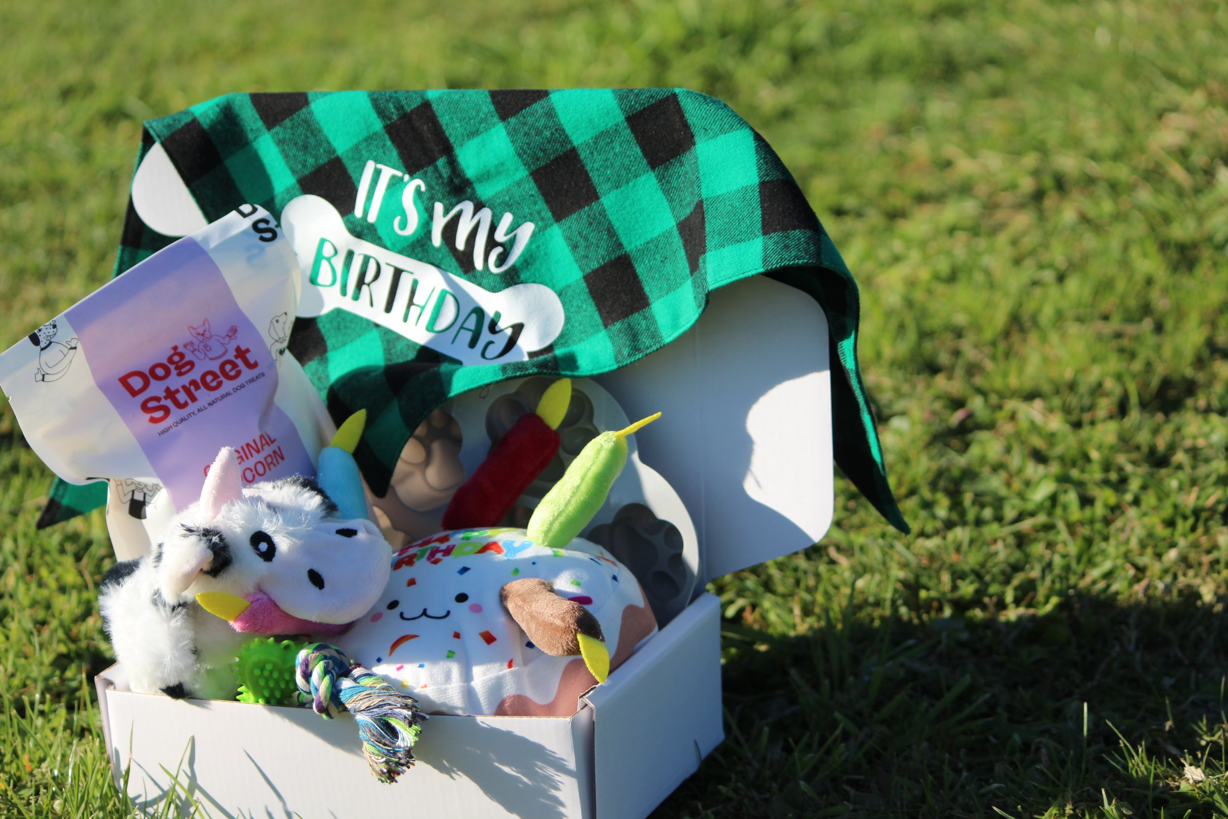 Ultimate Paw-ty Birthday Box