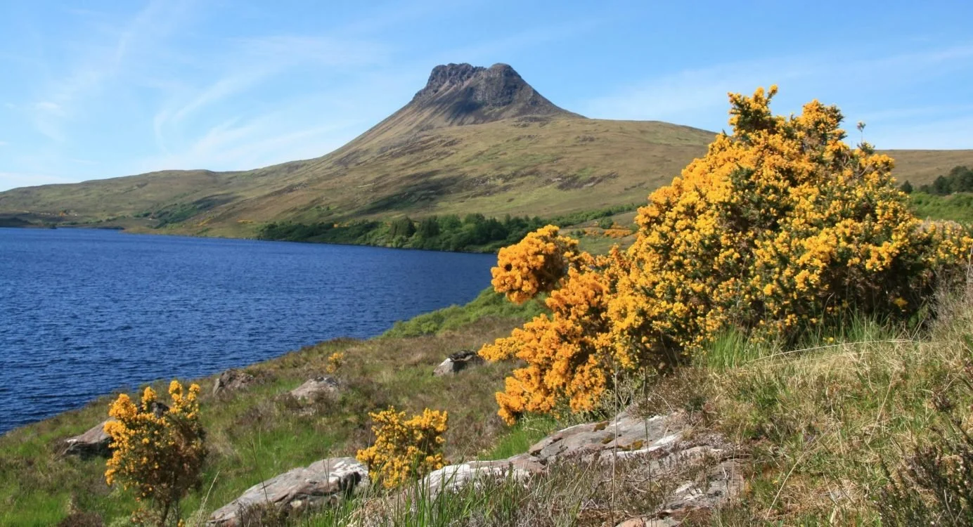 Stac Pollaidh in Assynt