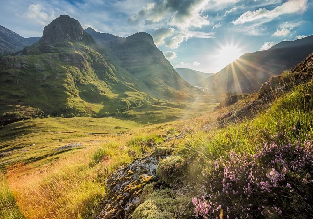 Sunset over green mountainous landscape with purple flowers in the foreground.