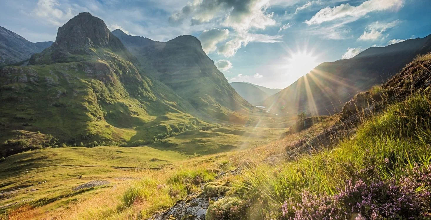Sunlit green mountain valley with pink flowers in foreground and steep mountain slopes in the background.