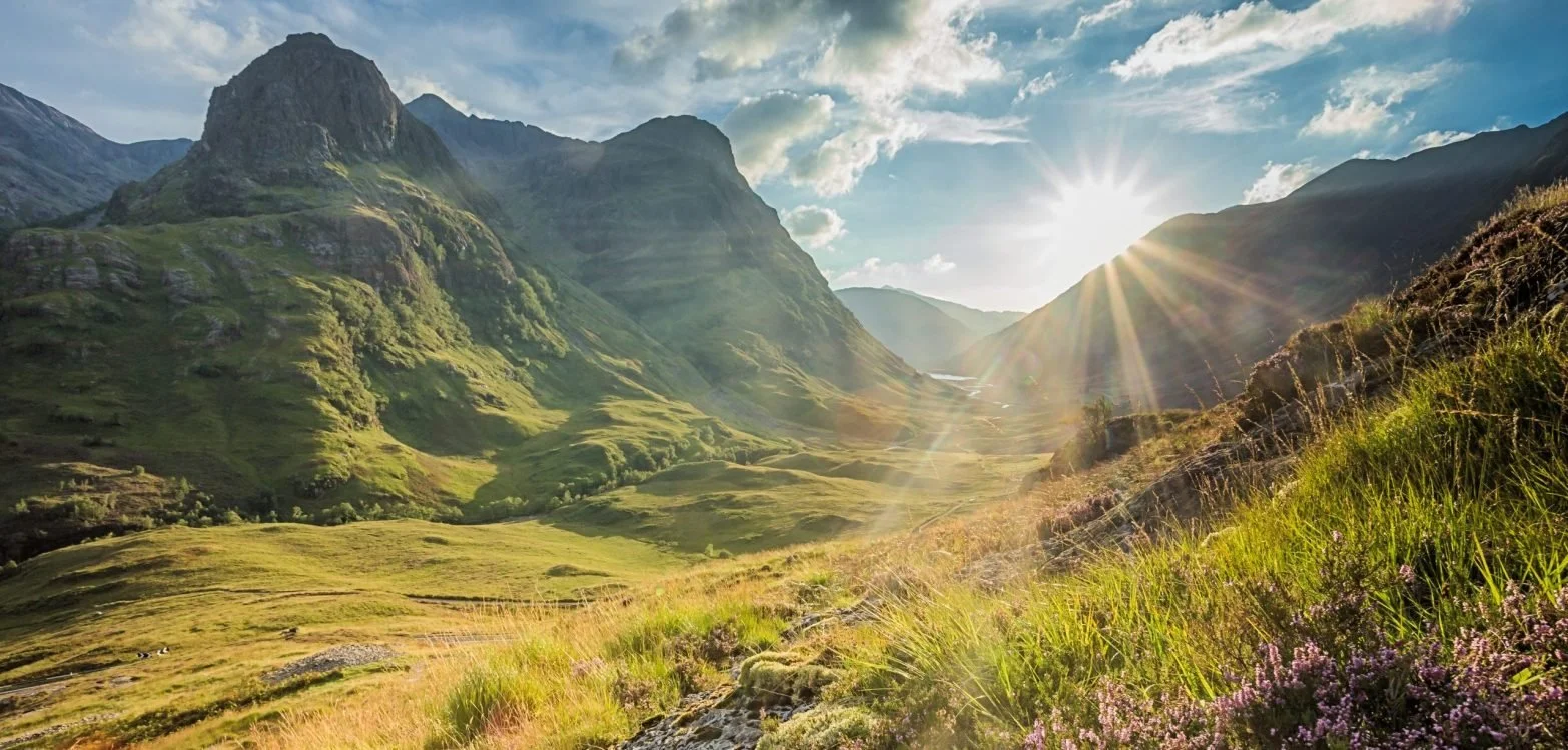 Sunlight shines over green mountains and a valley with flowering plants in foreground.