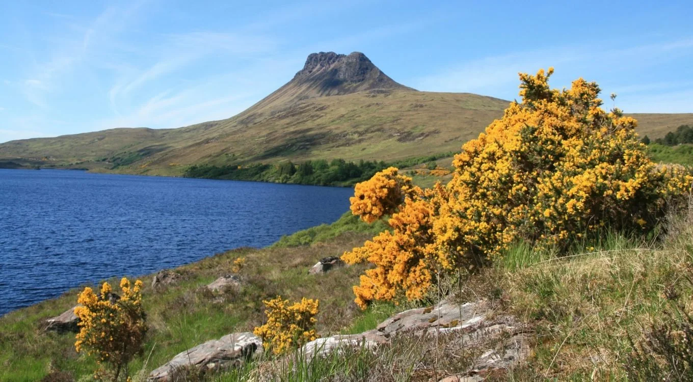 Stac Pollaidh in Assynt