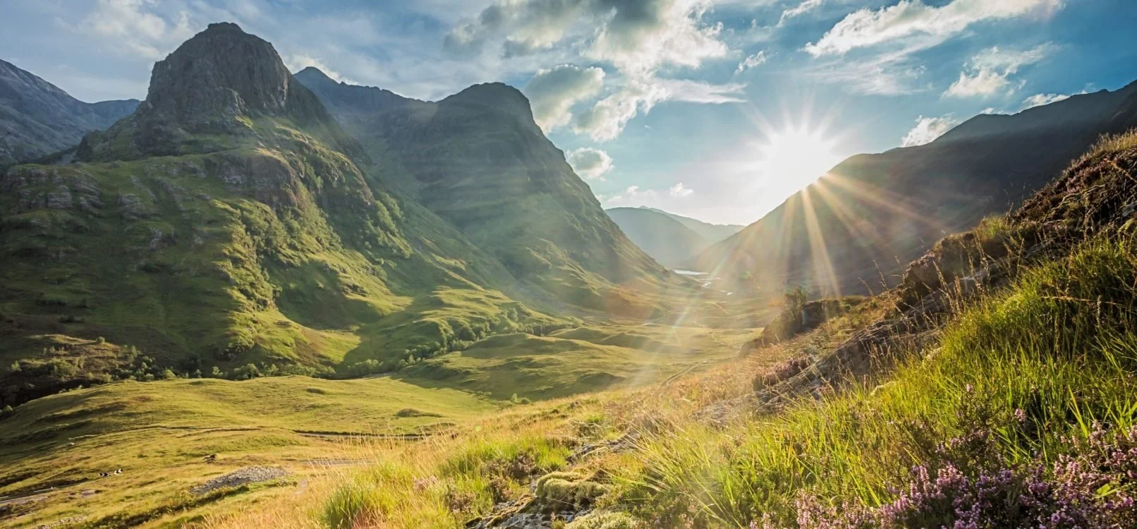 Sunrise over a lush green mountain valley with slopes covered in grass and small flowering plants.
