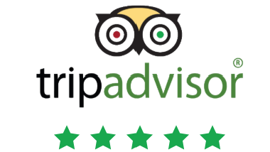 TripAdvisor logo featuring an owl with three green stars below