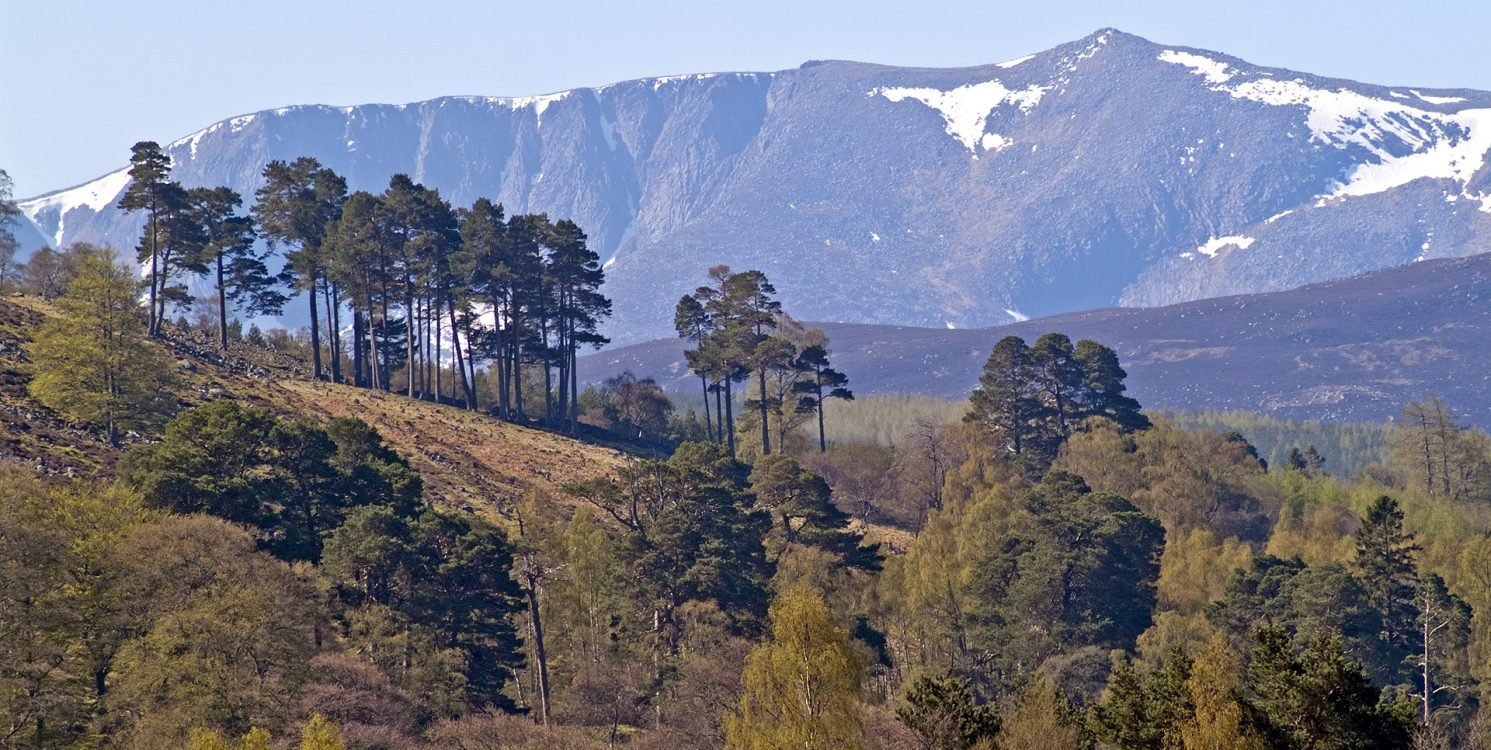Cairngorms National Park