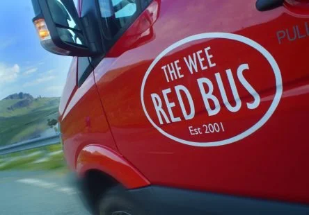 Close-up of a red school bus with a circular logo that reads 'The WEE RED BUS, Est. 2001' on the side of the bus.