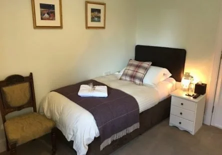 A neatly made bed with white and plaid pillows, a dark headboard, and a bedside table with a lamp in a cozy bedroom.