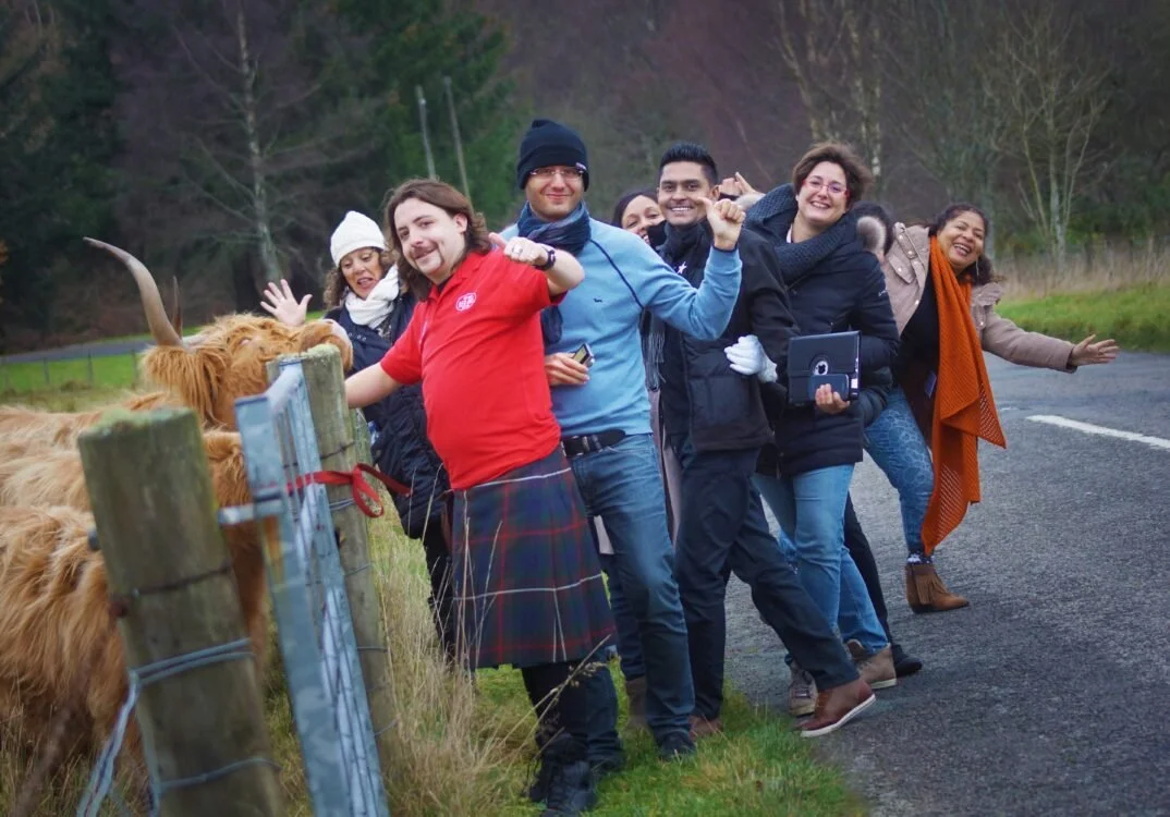 "Hairy coos" in Highland Perthshire