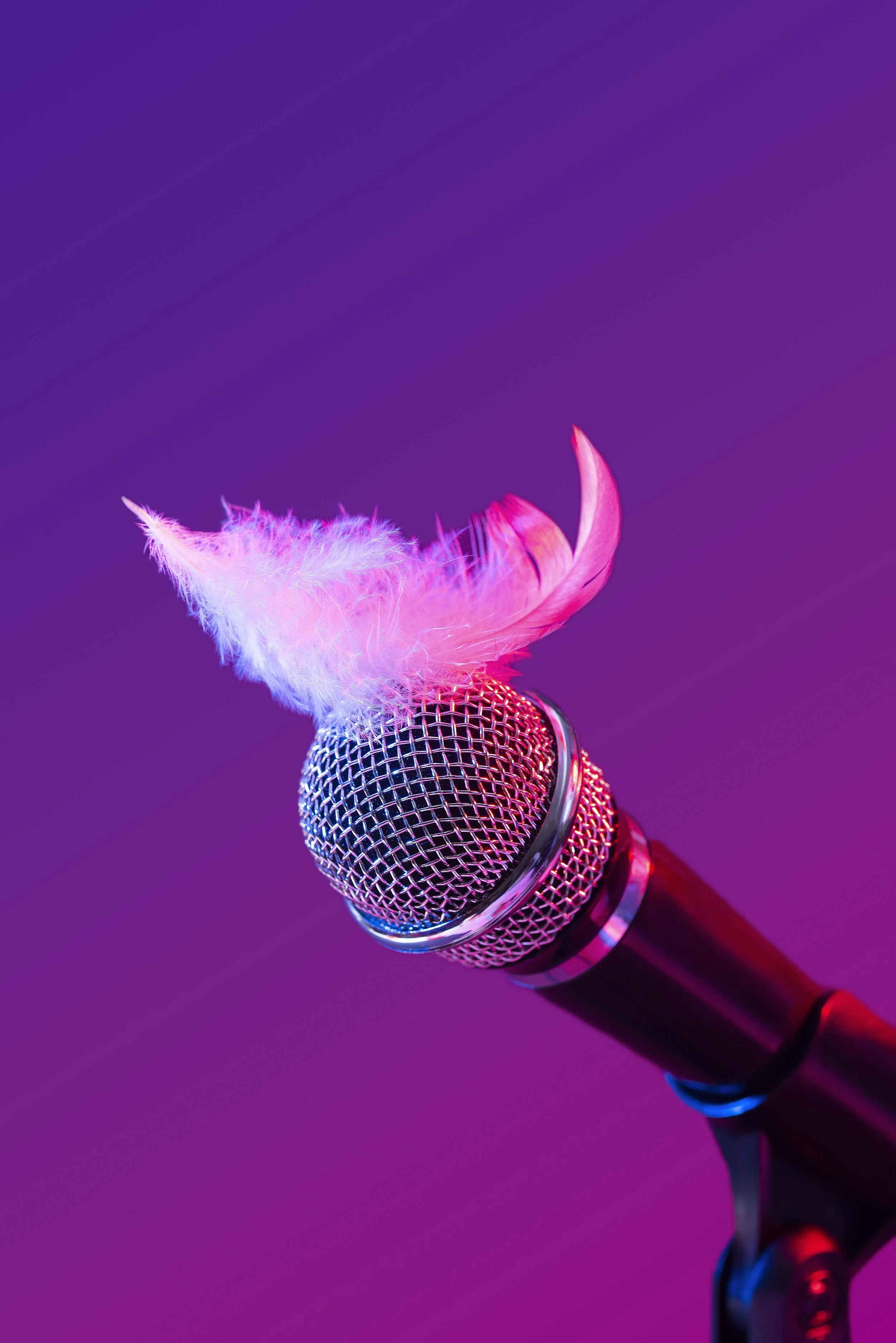 KARAOKE PARTY