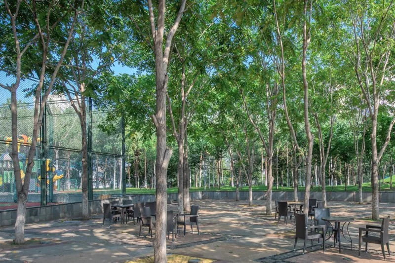 courtyard2.jpeg