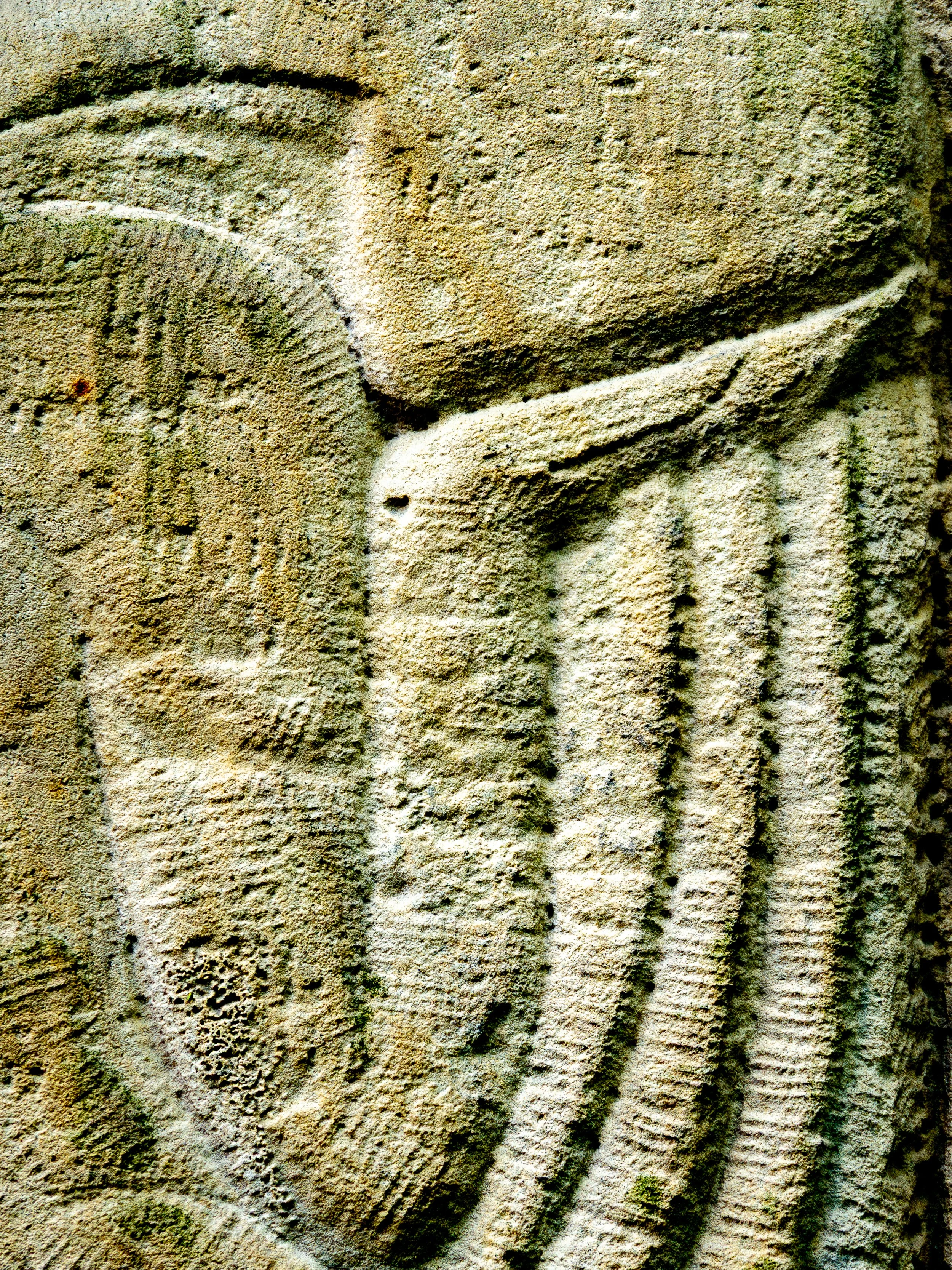 Time Signature · Poland · 2026