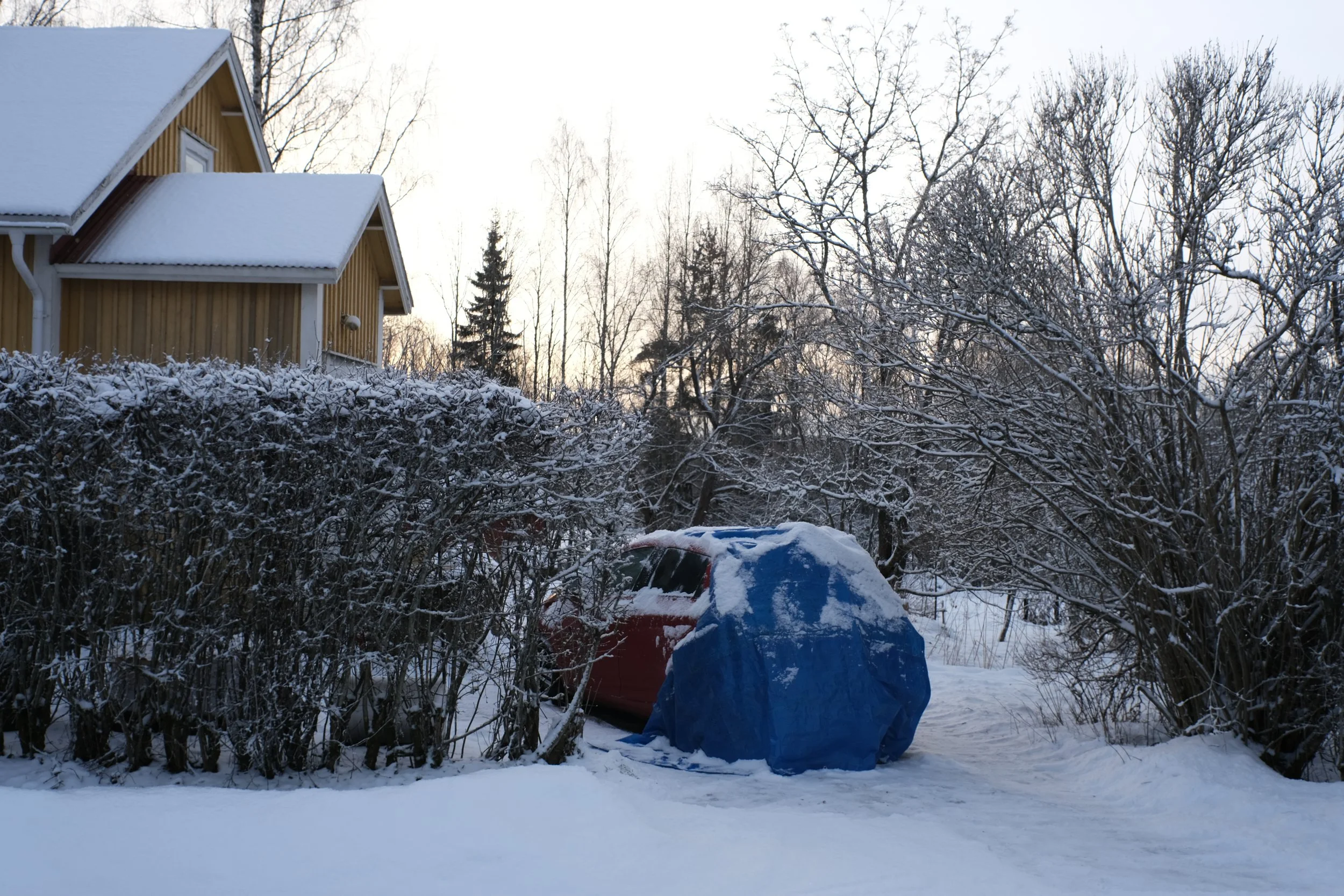DSCF7602.JPG