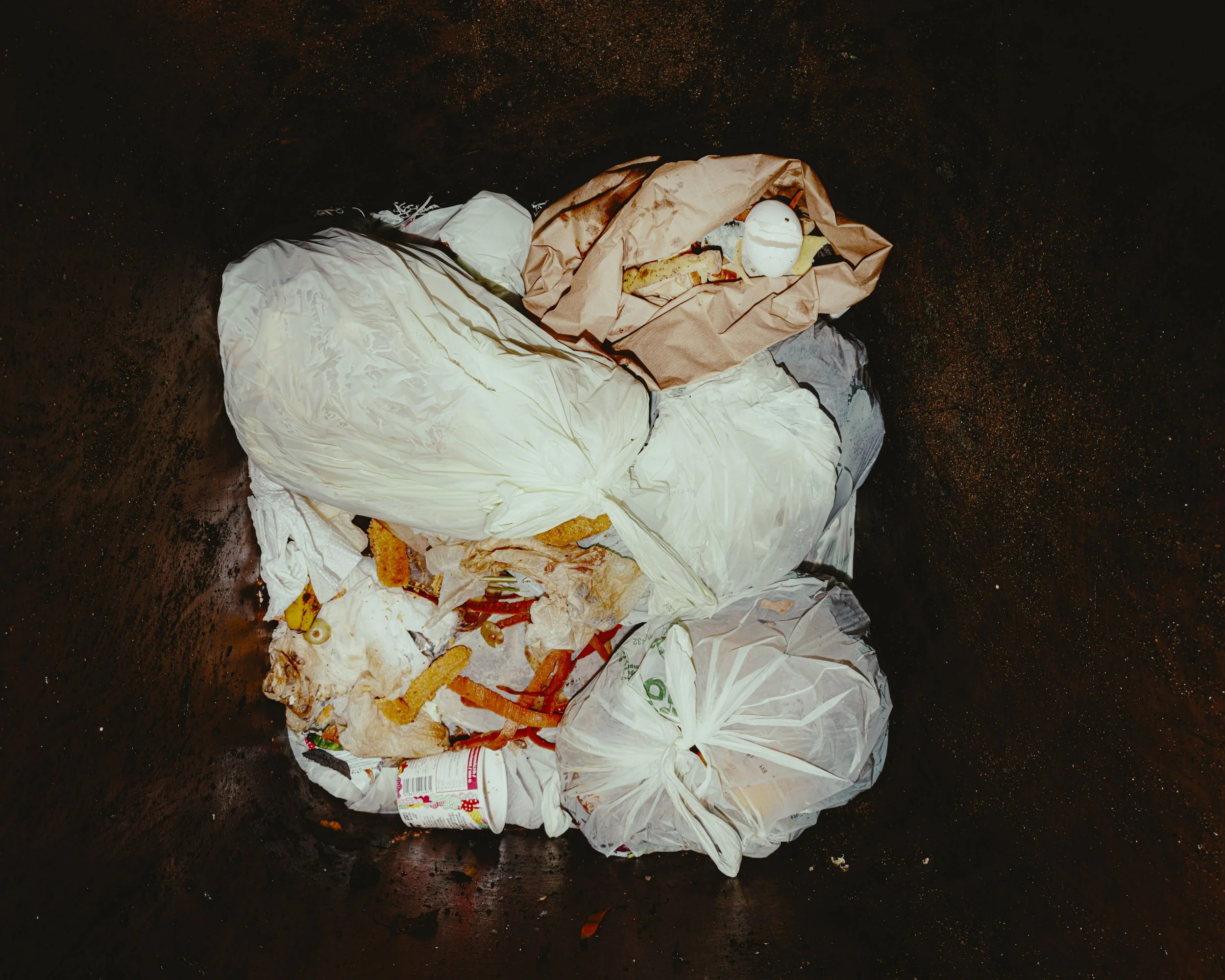 ahne-tipu-L1010937-Enhanced-SR-2.jpg