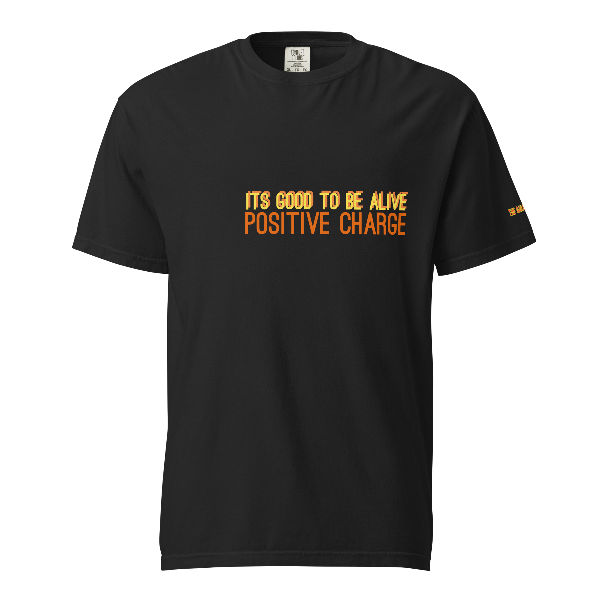 unisex-garment-dyed-heavyweight-t-shirt-black-front-69f0d9752169f.png