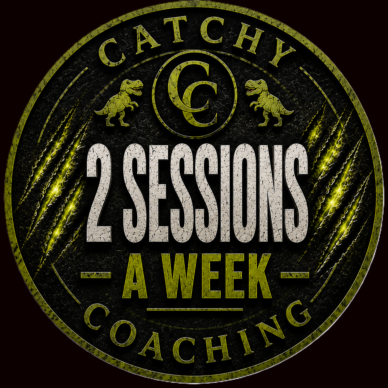 Personal Training - 2 hour sessions per week