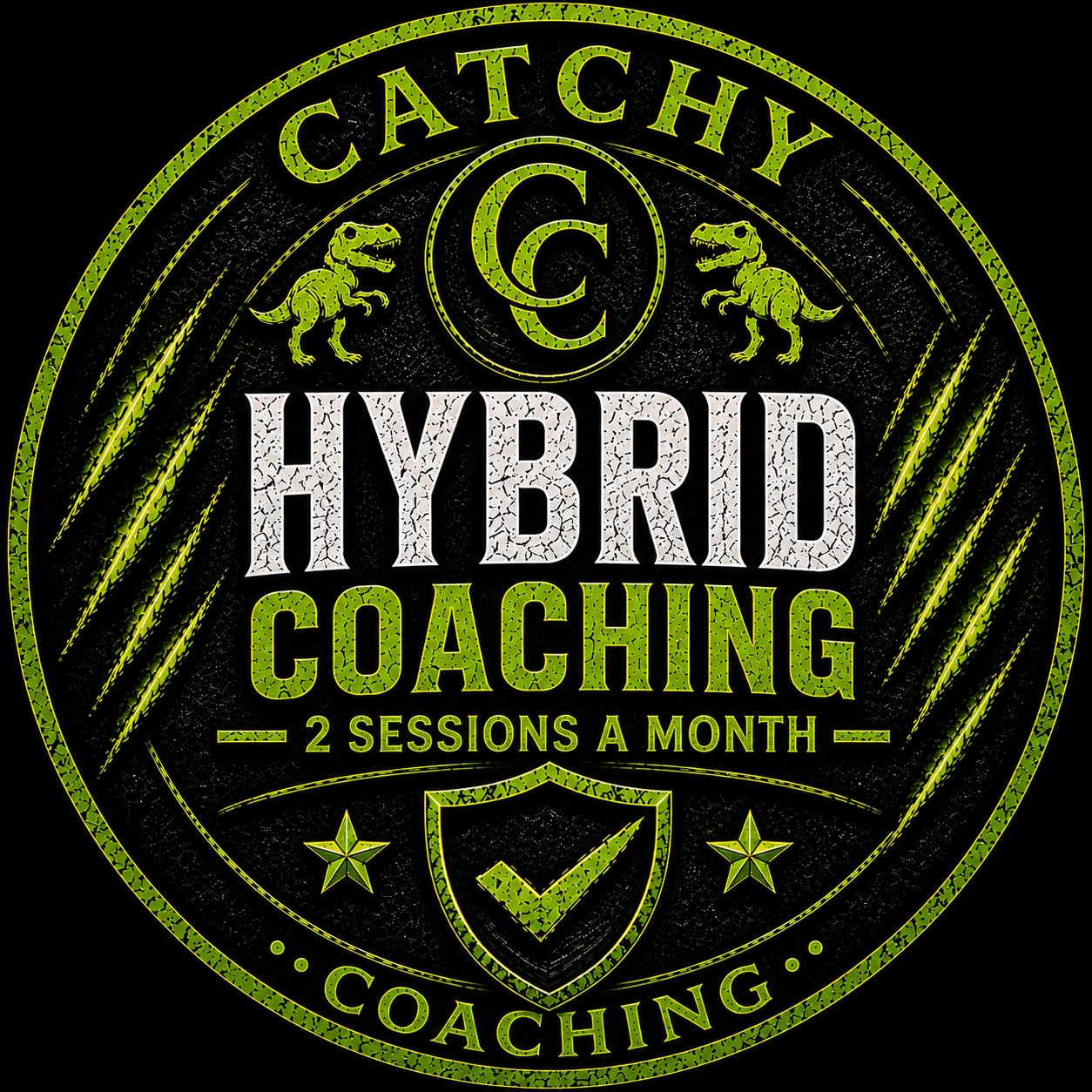Hybrid Coaching - 2 sessions per month