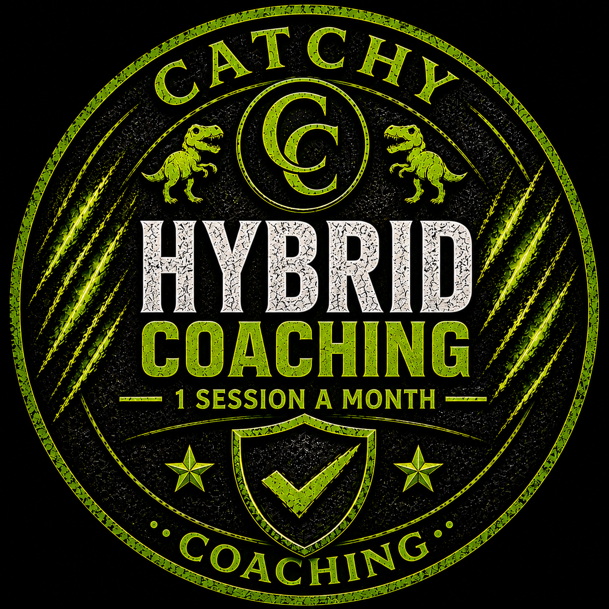 Hybrid Coaching - 1 session per month
