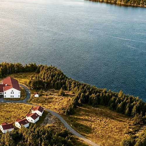 Aerial view of houses near a large body of water with trees and greenery in the surroundings.