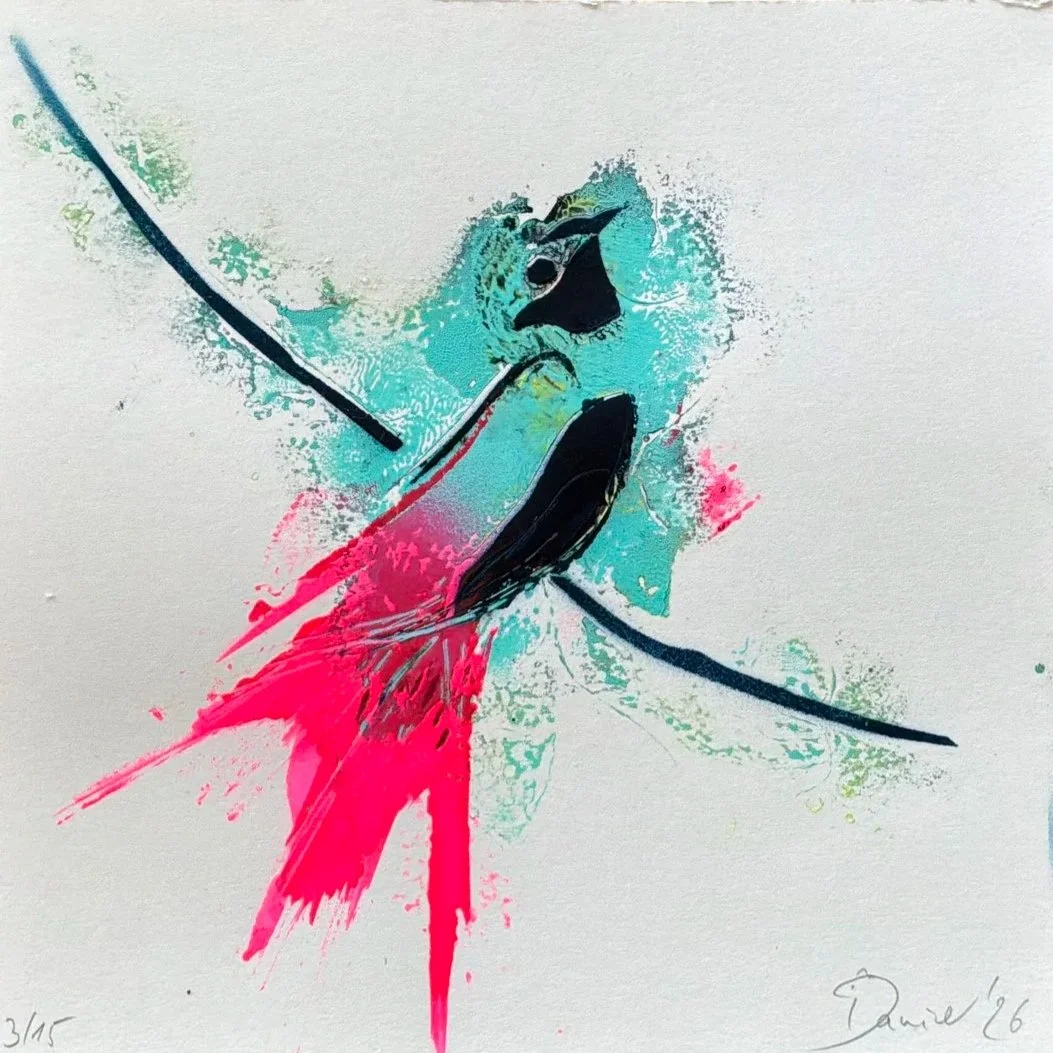 swallow edition