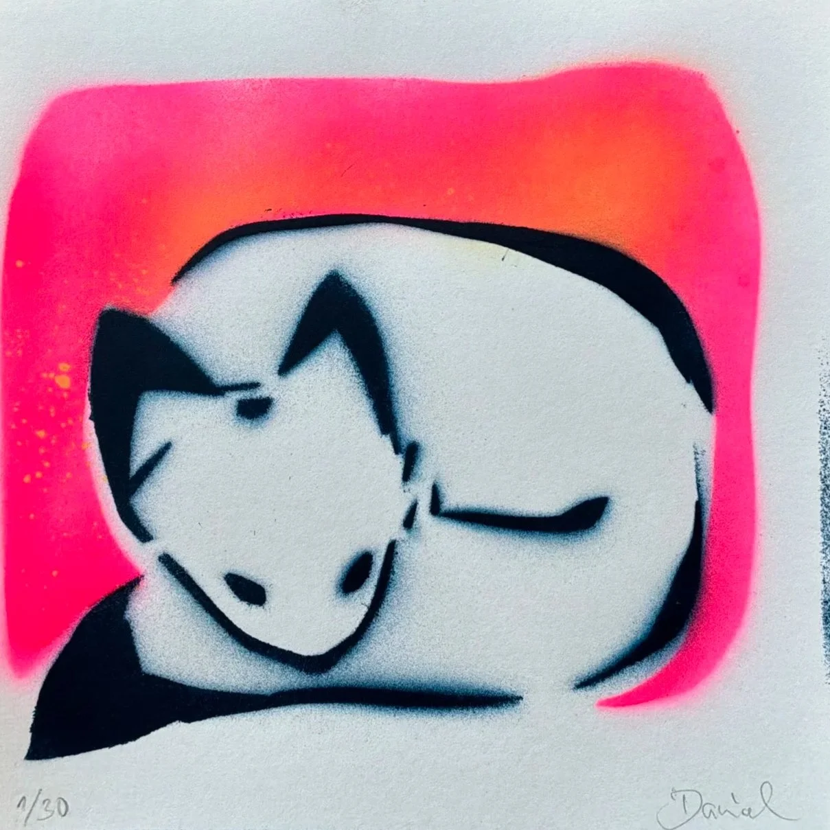 fox edition