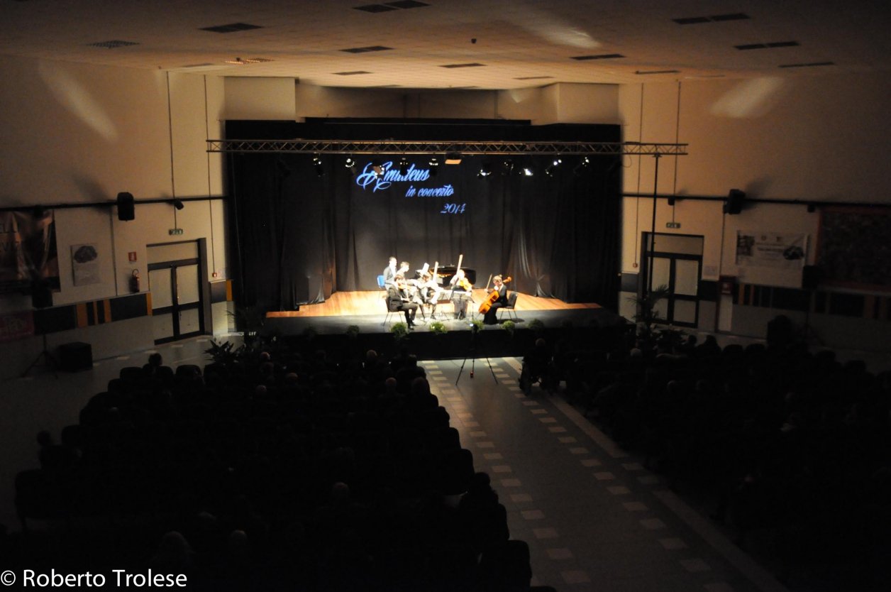 Amadeus_20Concert_202014-34.jpg